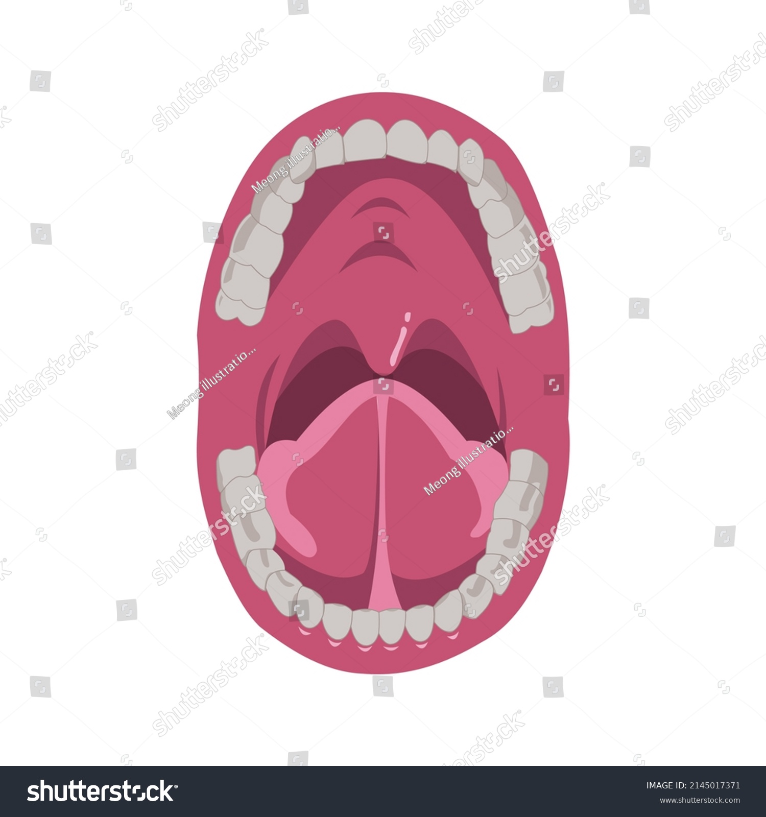 Inner Mouth Open Vector Human Organs Stock Vector (Royalty Free ...