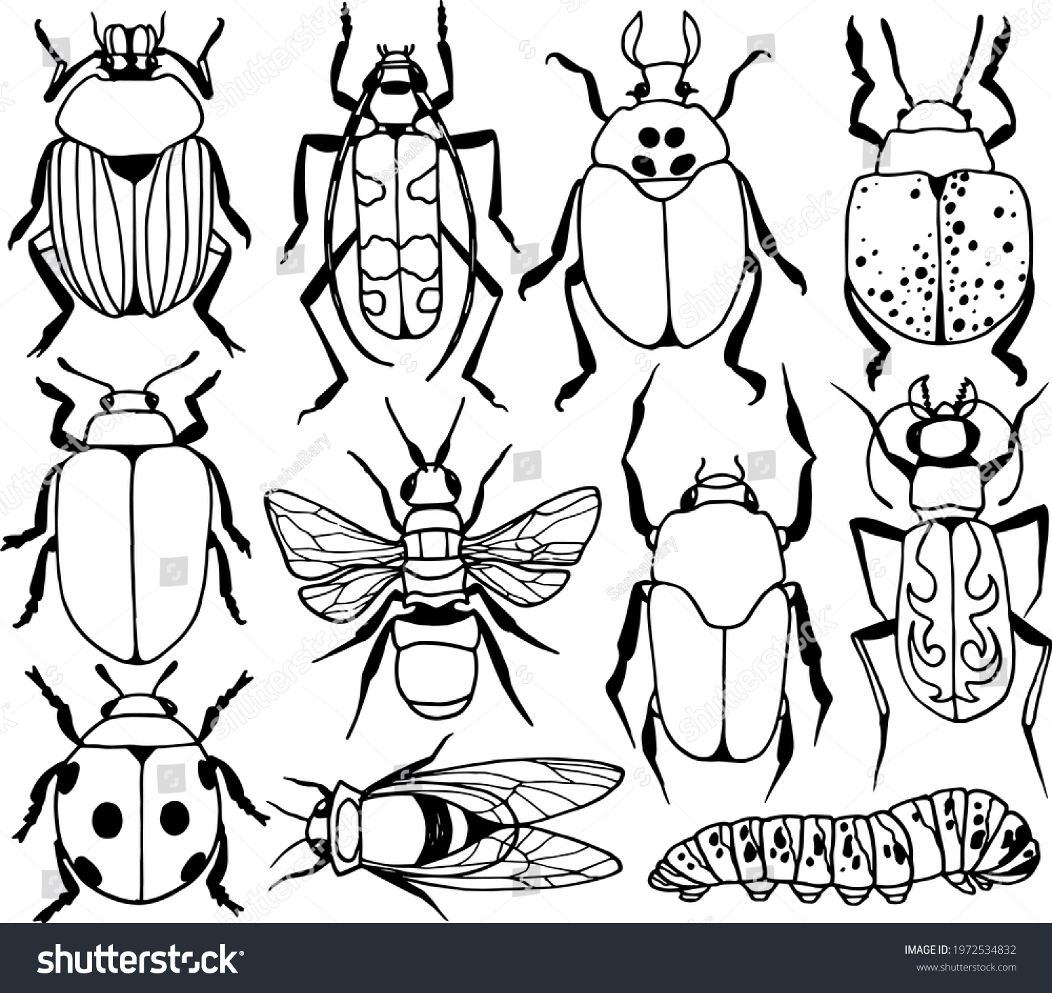 SVG of Insect collection isolated on white. Vector illustration. set of illustrations. pests, beetles, insects, animals. black and white image svg