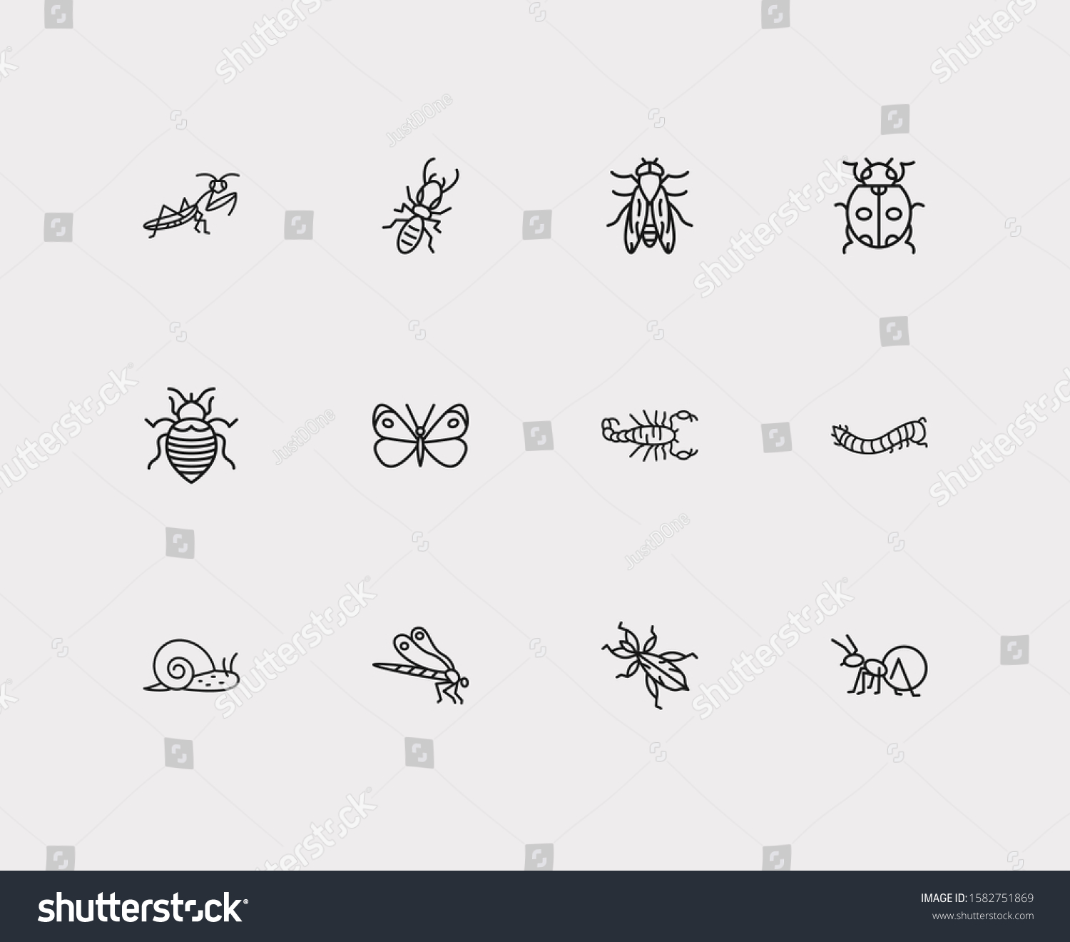 Insect Icons Set Termite Insect Icons Stock Vector Royalty Free 1582751869