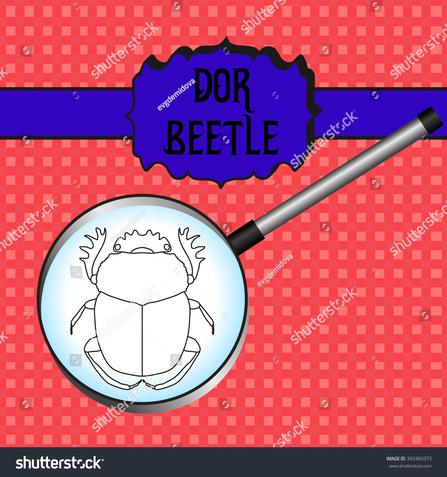 SVG of insect in magnifier.  Geotrupidae dor-beetle . Sketch of dor-beetle. . dor-beetle  hand-drawn scarab, dor-beetle. Vector illustration svg