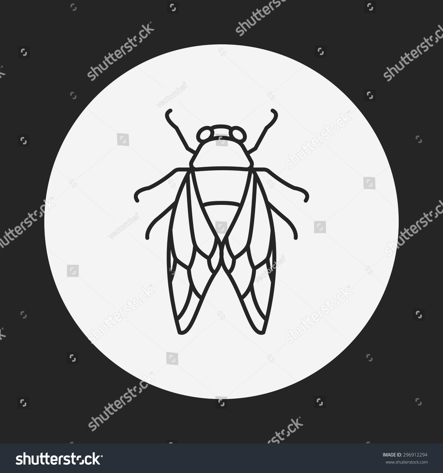 Insect Line Icon Stock Vector (Royalty Free) 296912294