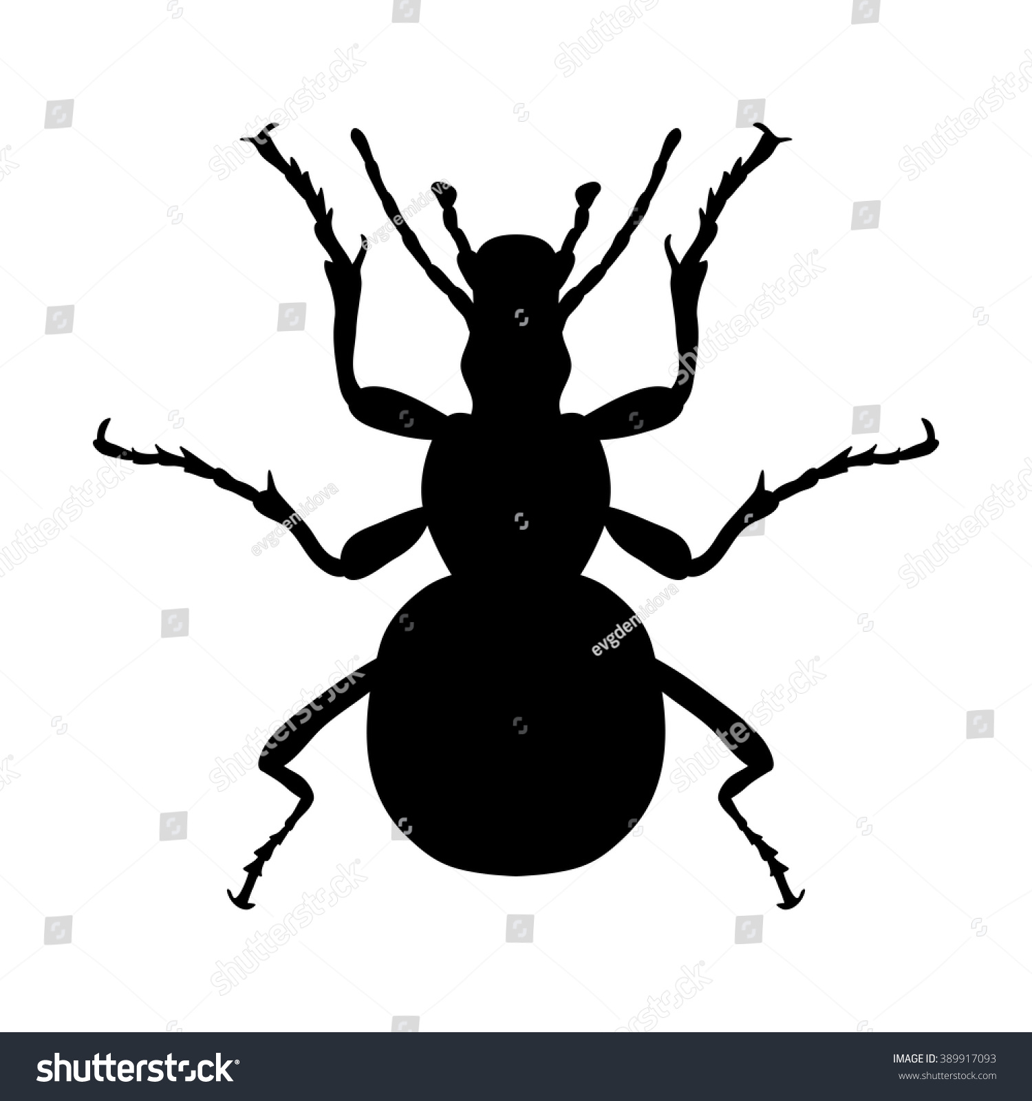 SVG of Insect silhouette. Sticker ground beetle bug. Carabidae coleoptera. Vector illustration svg