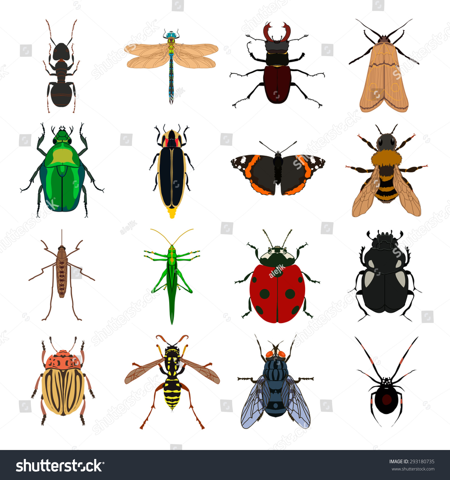 Insect Vector Set Butterfly Wasp Tick Stock Vector 293180735 - Shutterstock