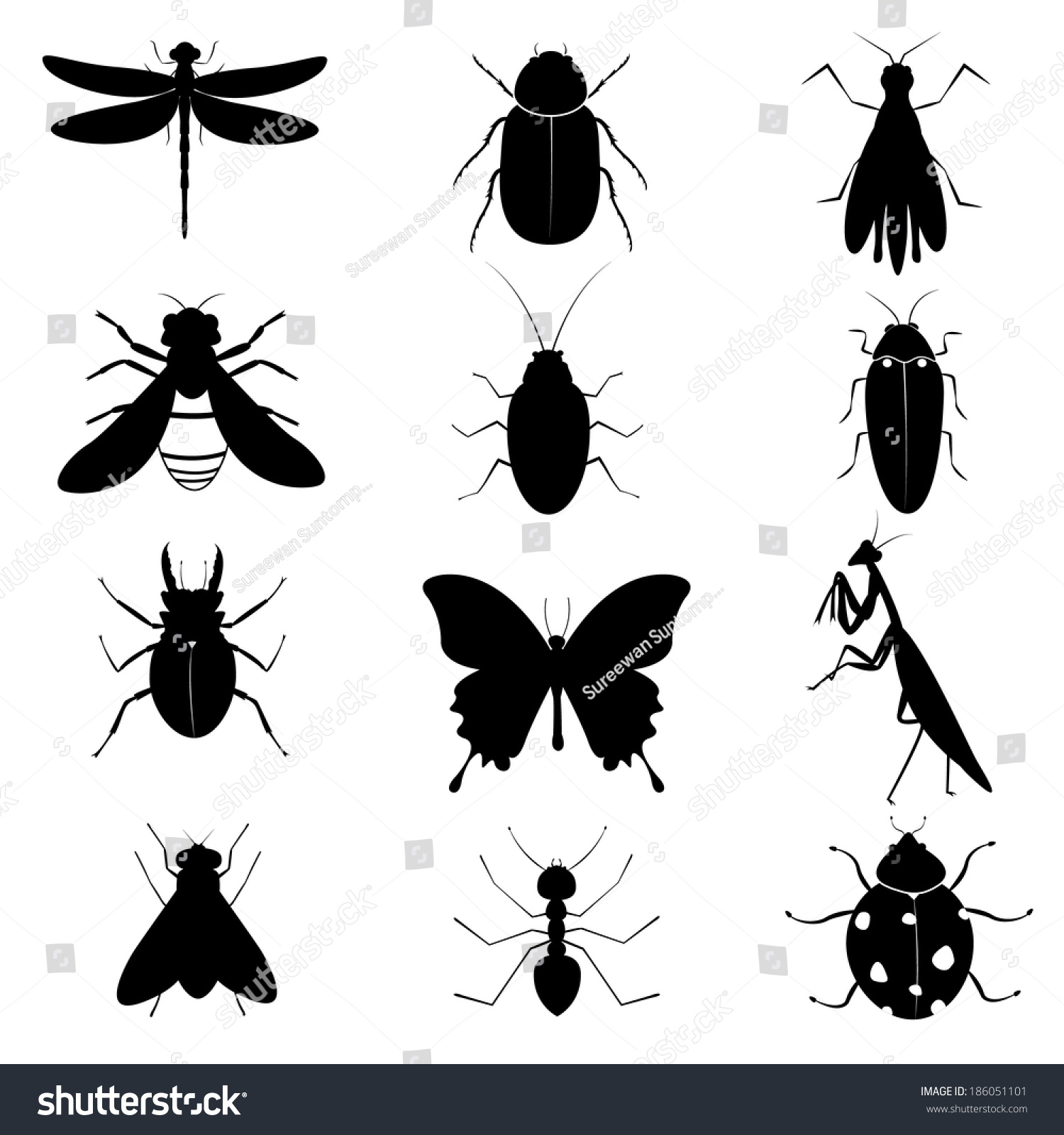 Insects Silhouettes Collection Stock Vector Illustration 186051101 ...