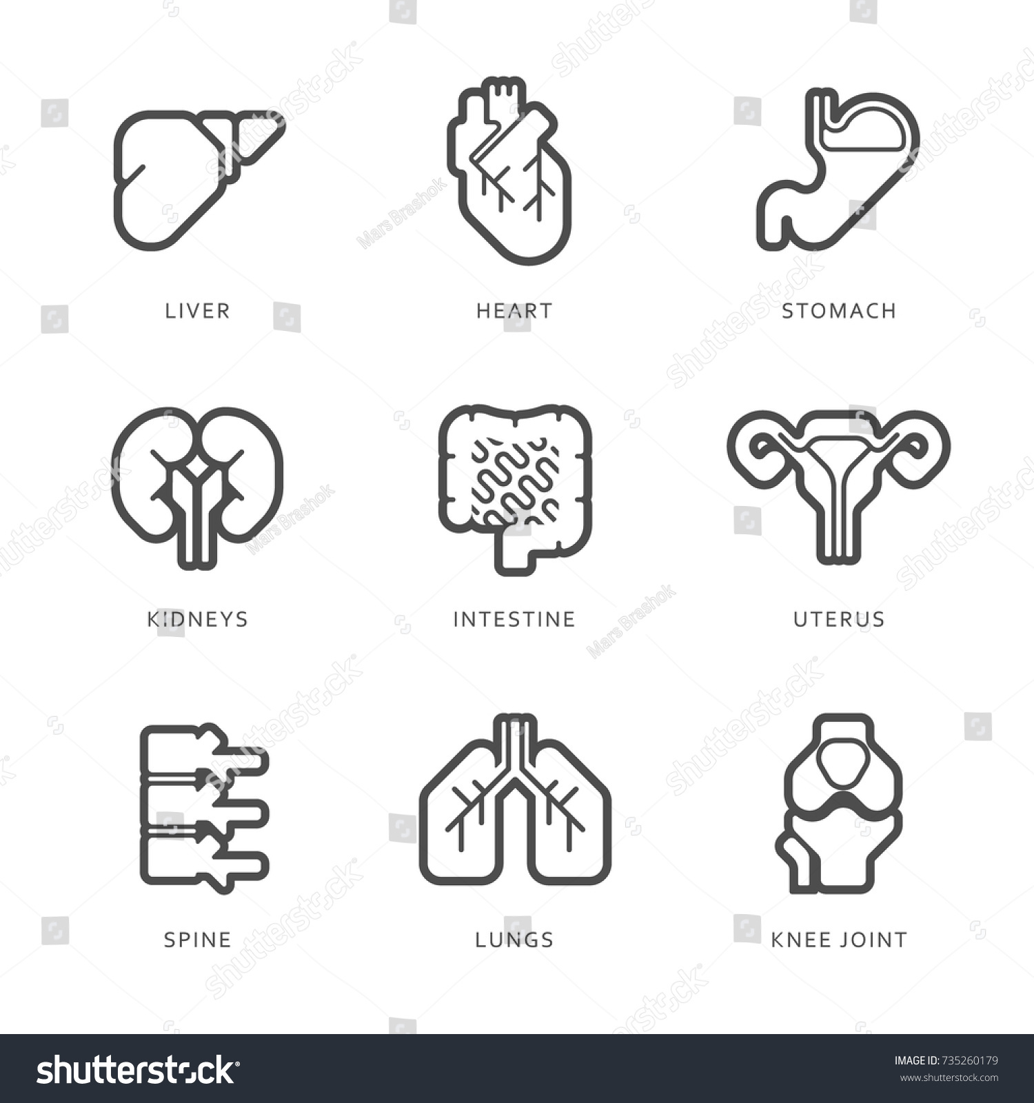 Internal Human Organs Icons Set Medical Stock Vector Royalty Free 735260179 Shutterstock 8145