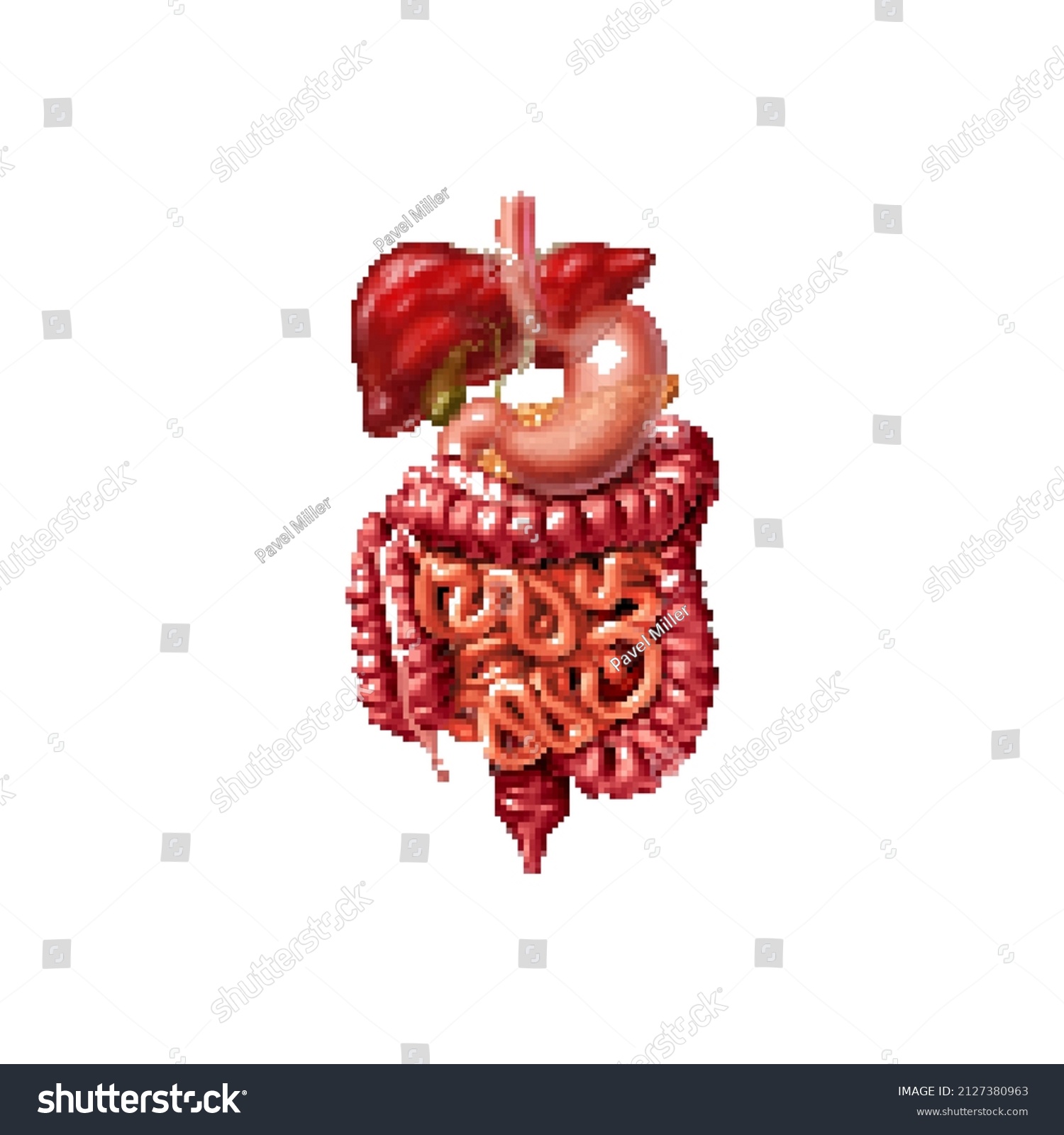 Internal Organ Pixel Art Set 8 Stock Vector (Royalty Free) 2127380963 ...