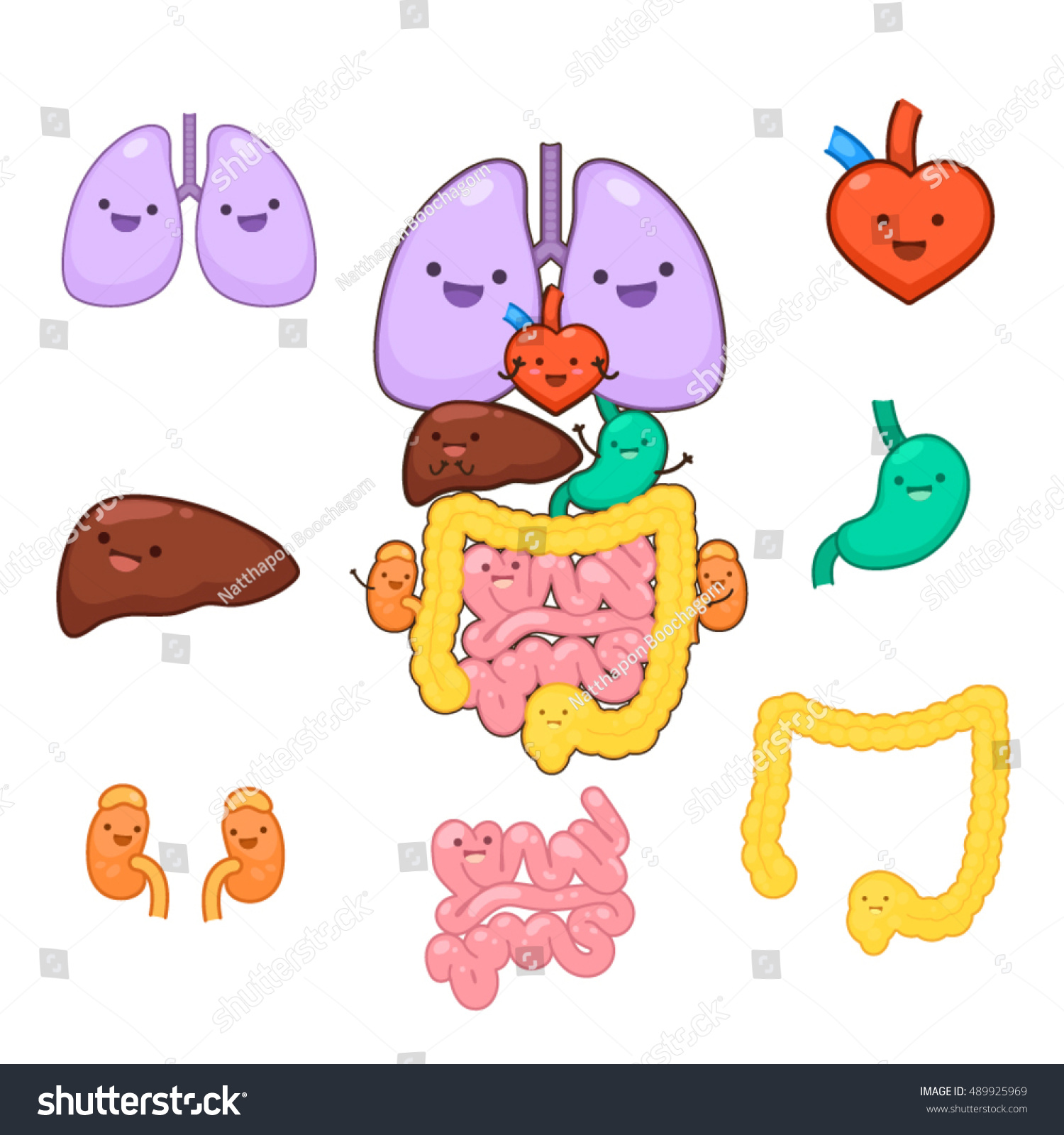 Internal Organs Cartoon Set Stock Vector 489925969 - Shutterstock