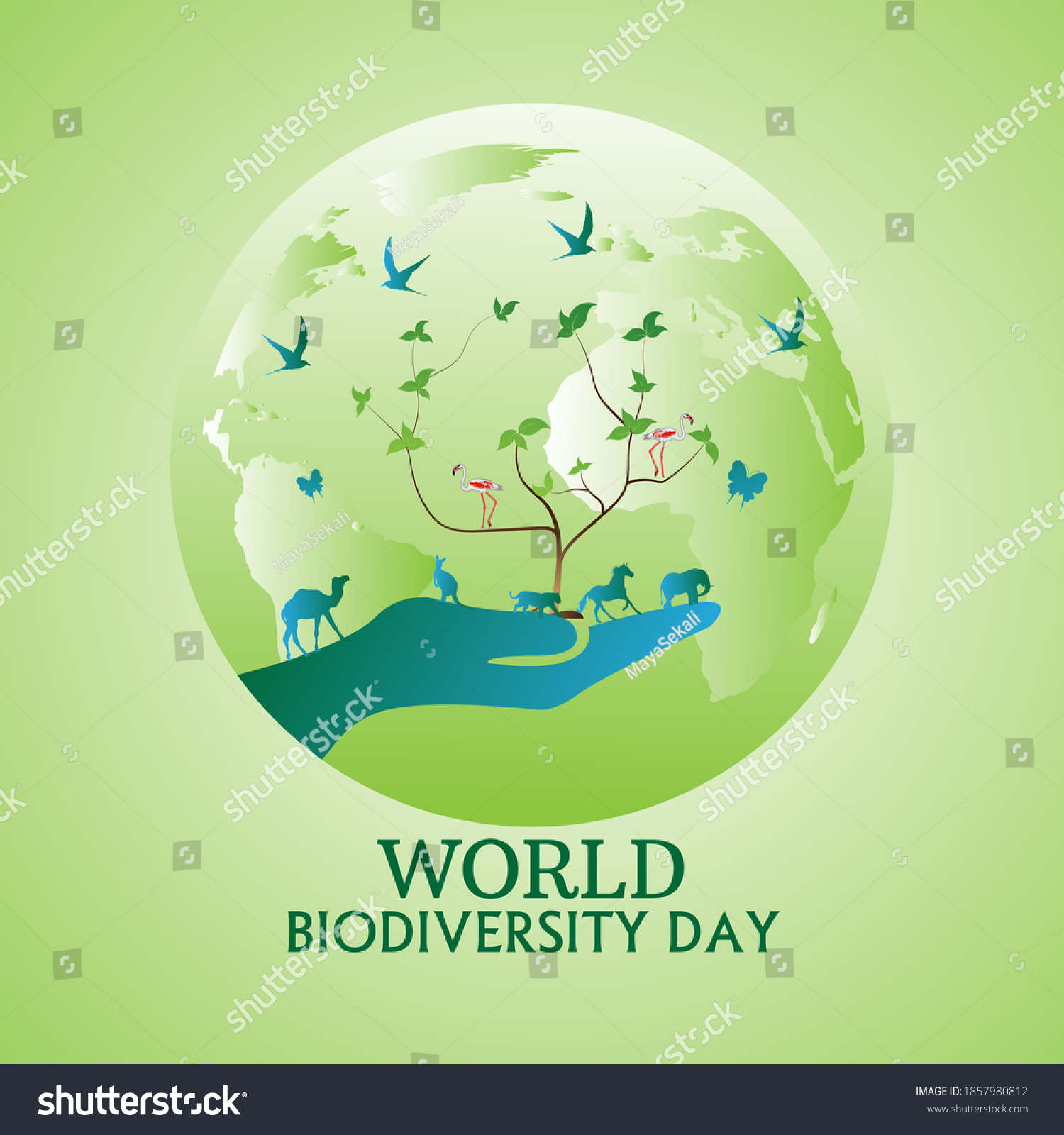 International Day Biological Diversity Vector Illustration Stock Vector ...