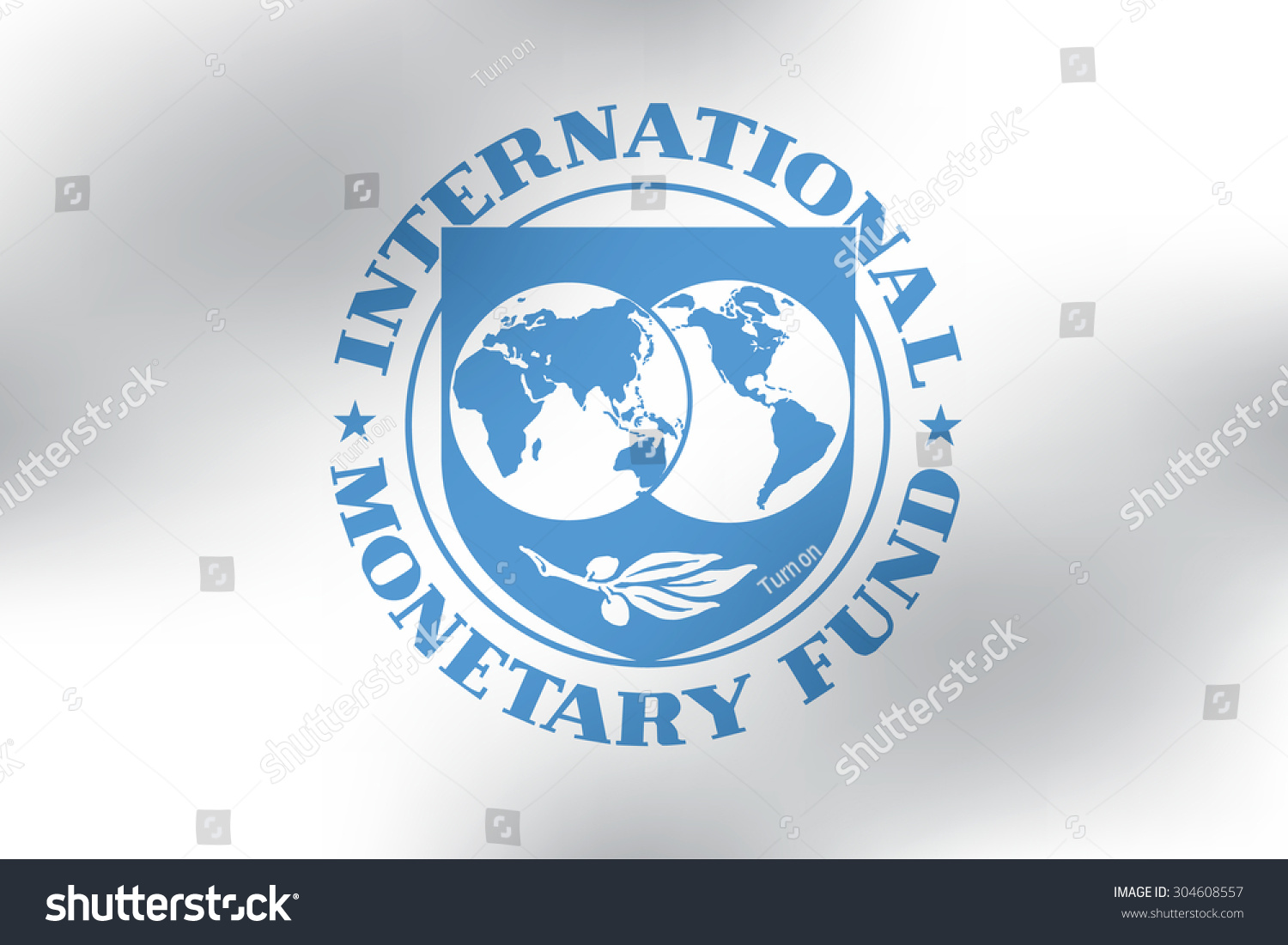 International Monetary Fund Imf Flag Stock Vector (Royalty Free ...