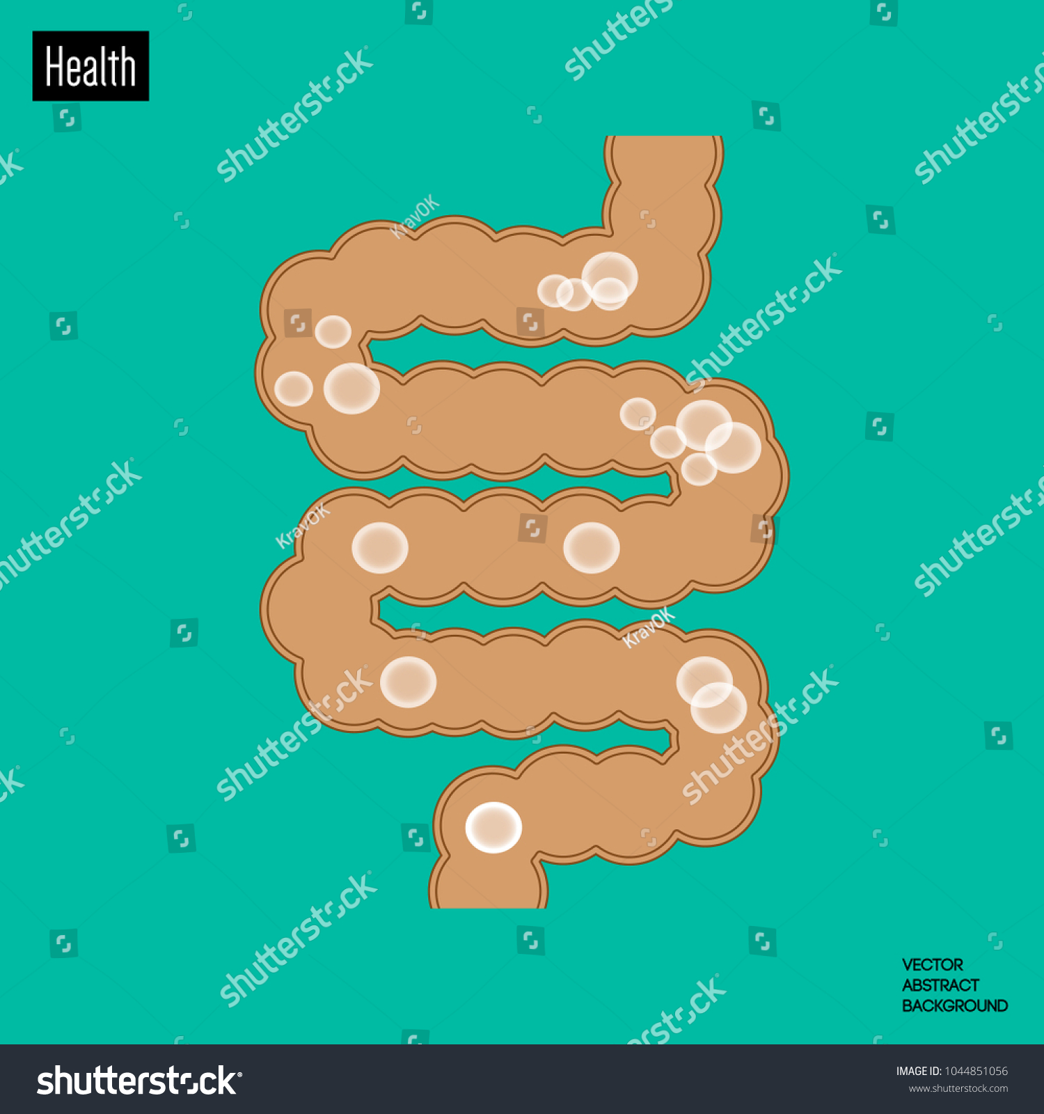 Intestine Picture Intestines Gas Bubbles Can Stock Vector (Royalty Free