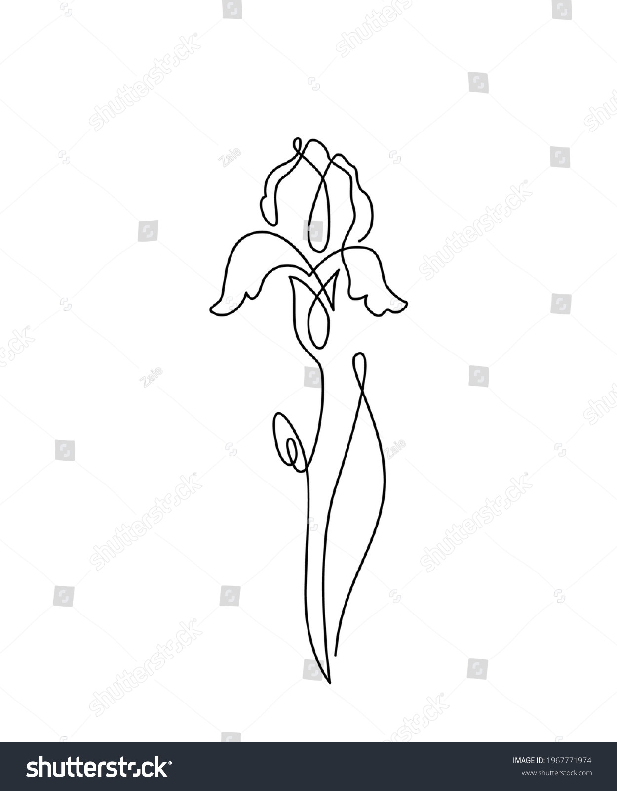 Iris Flower Vector Illustration Simple Minimal Stock Vector (Royalty ...