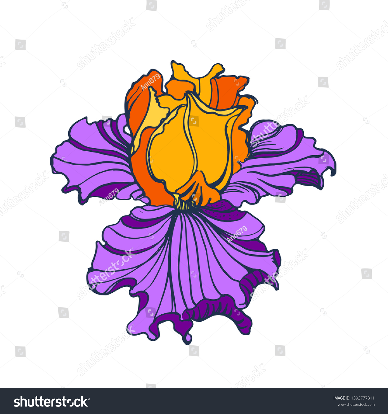 Iris Flower Vector Isolated On White Stock Vector Royalty Free ...