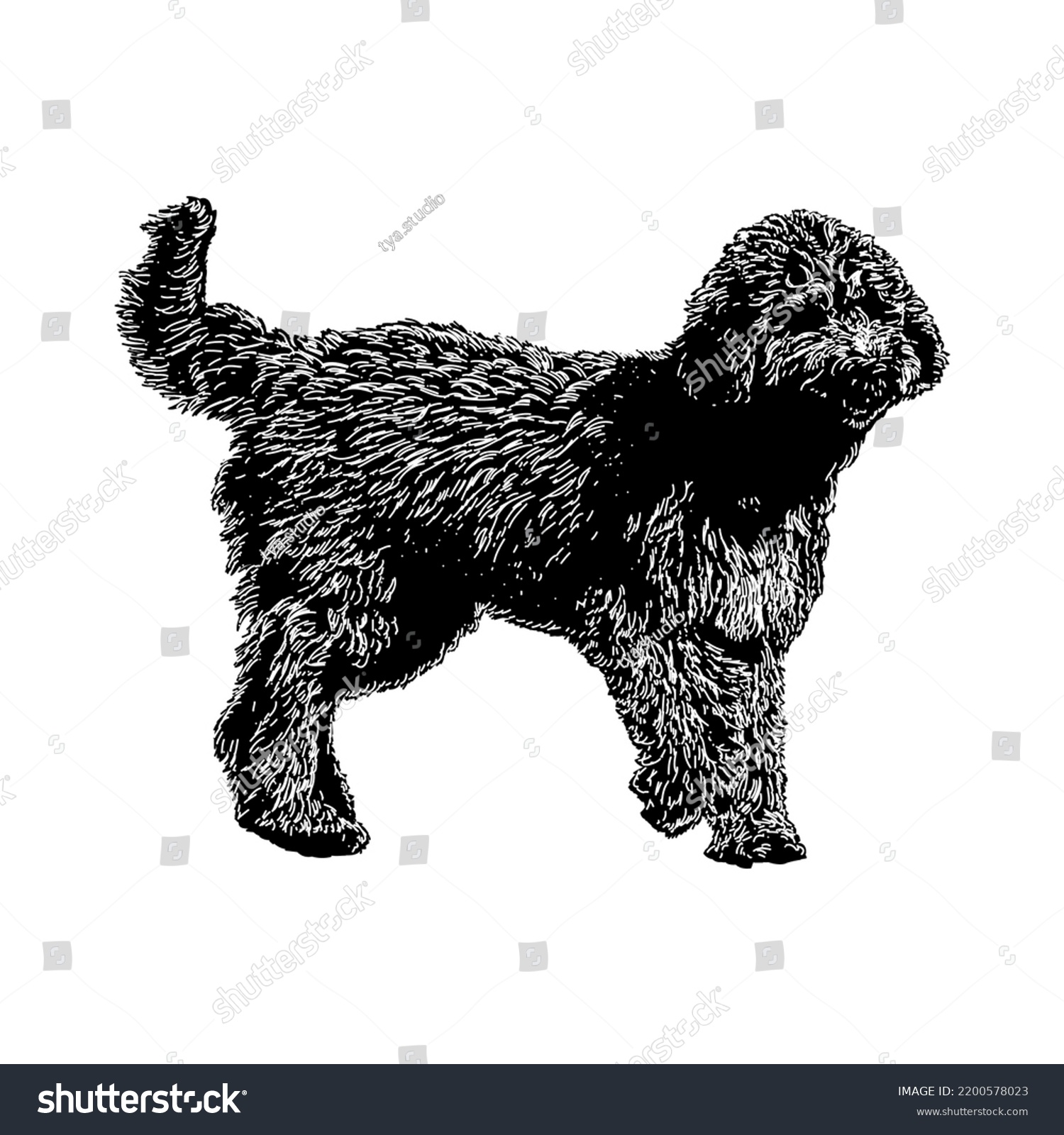 SVG of Irish Doodle hand drawing vector illustration isolated on white background svg