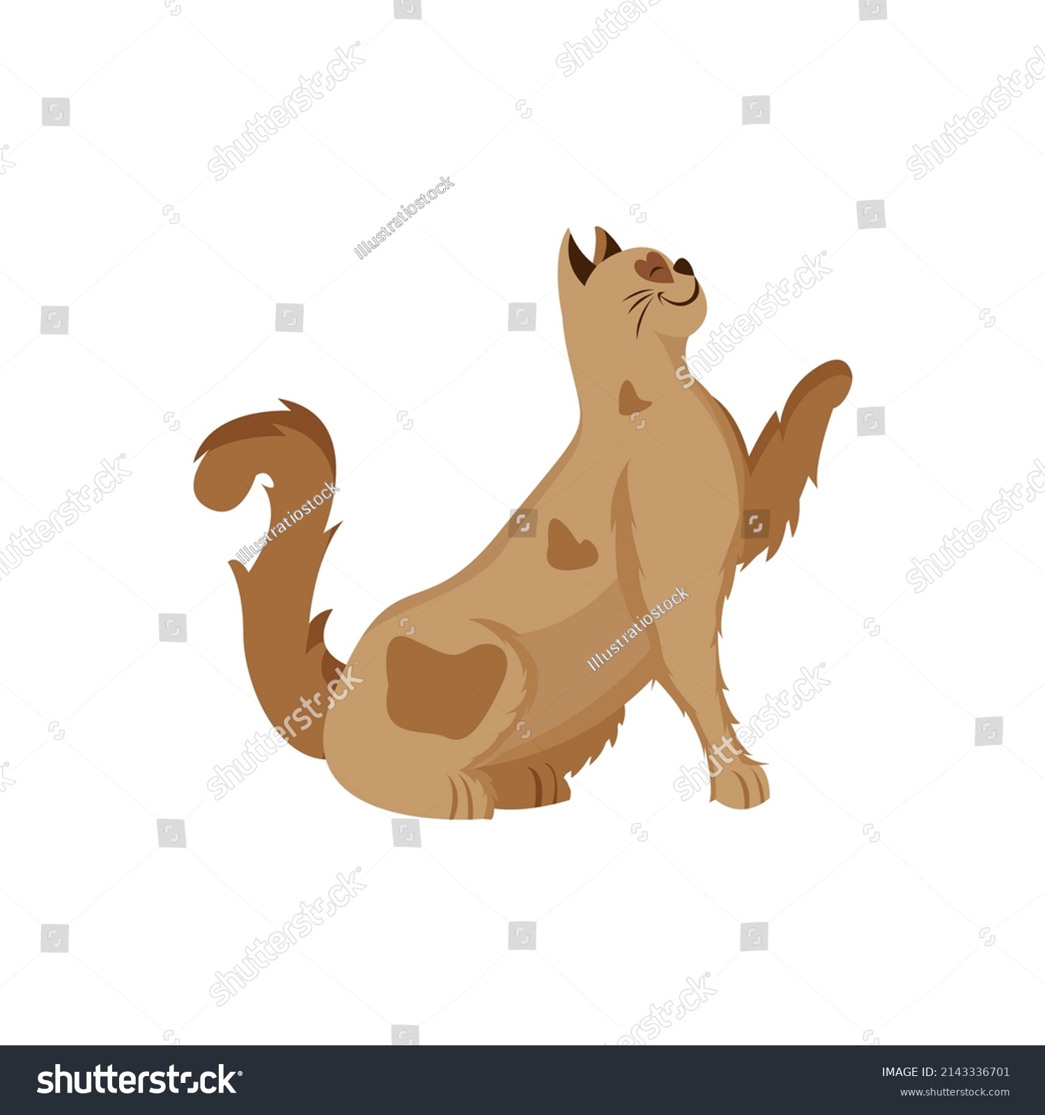 Isolated Brown Cat Turtle Animated Animals Stock Vector (Royalty Free ...