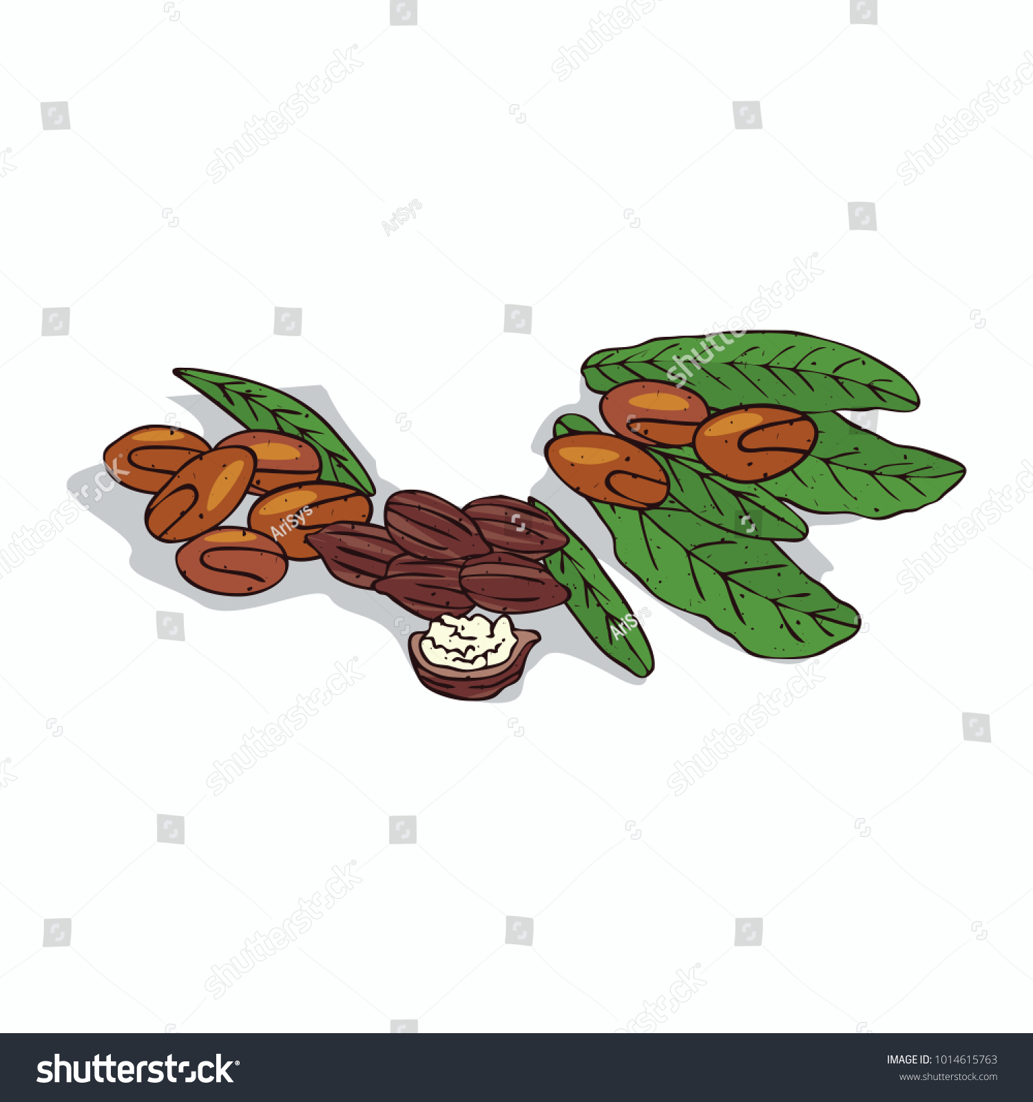 SVG of Isolated clipart of plant Shea tree on white background. Botanical drawing of herb Vitellaria paradoxa with nuts and leaves. Vector illustration svg