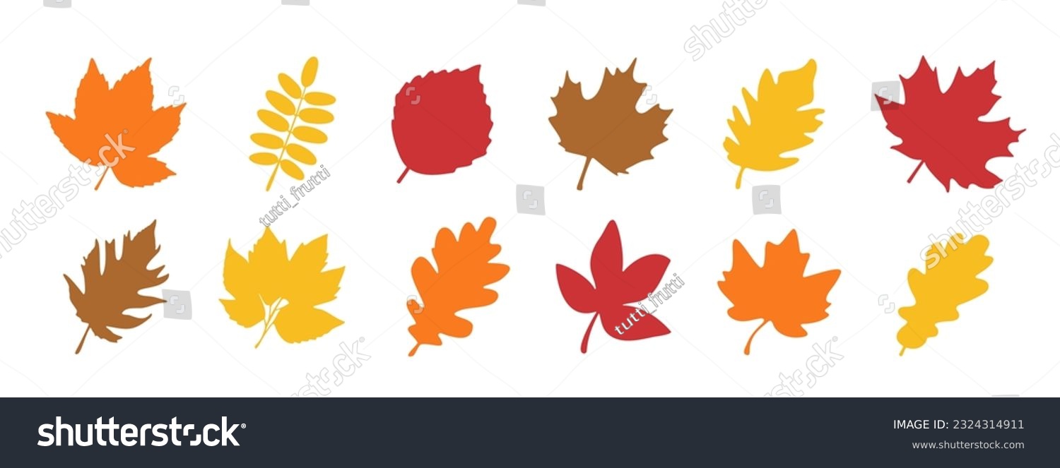 SVG of Isolated color autumn leaves over white svg