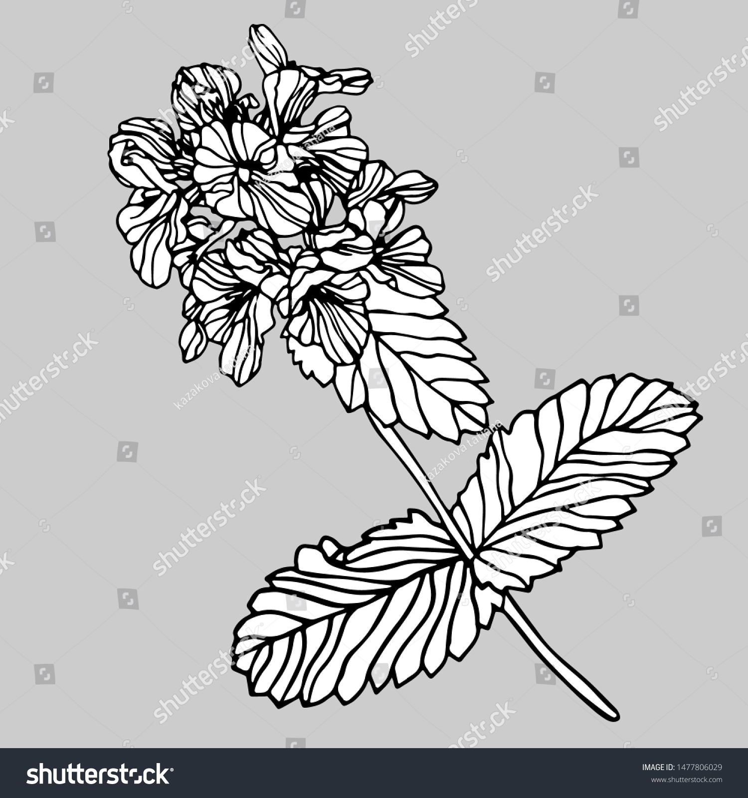 Isolated Design Decorative Delphinium Flowers Black Stock Vector Royalty Free 1477806029