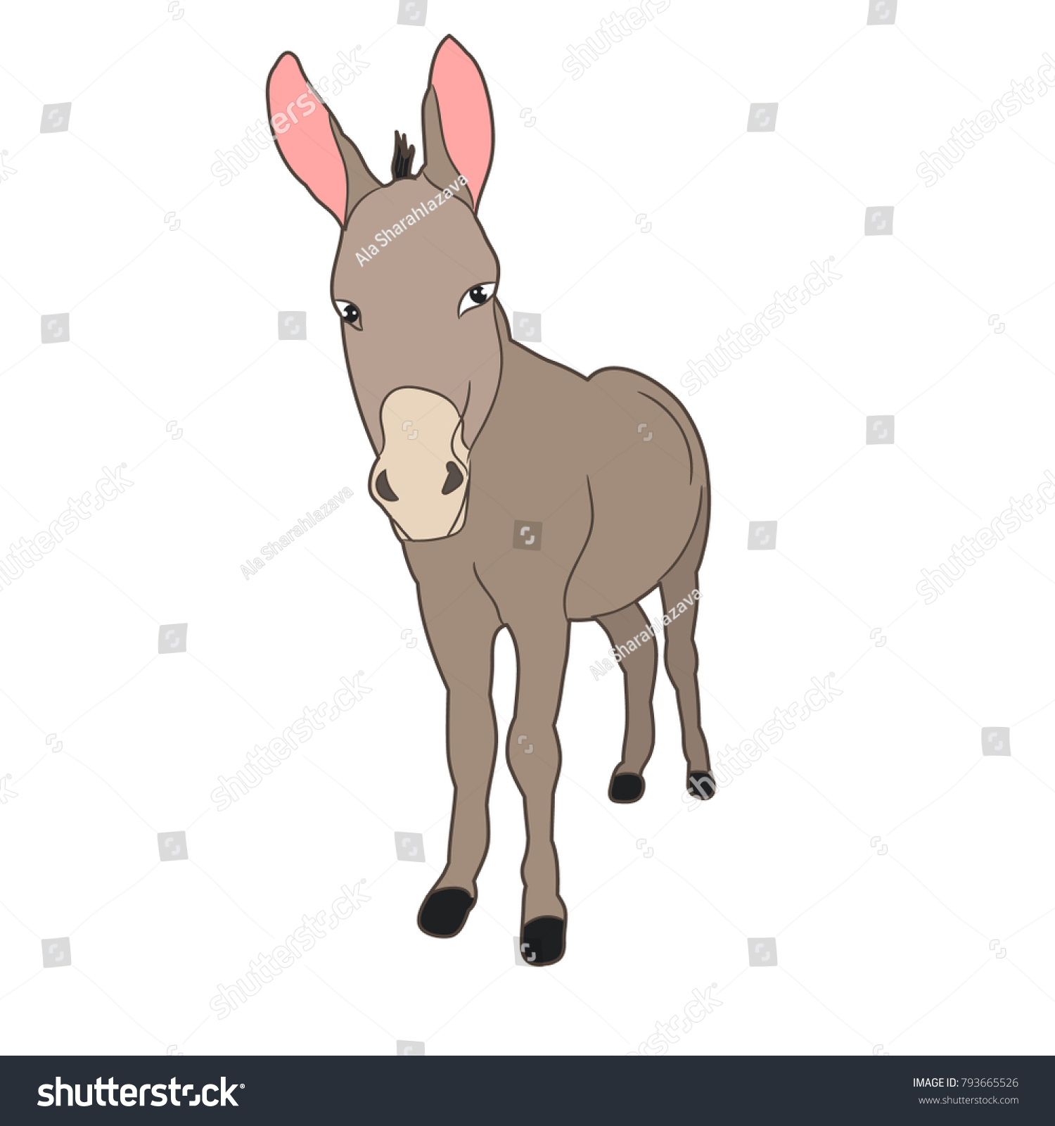 2,667 Donkey front Images, Stock Photos & Vectors | Shutterstock