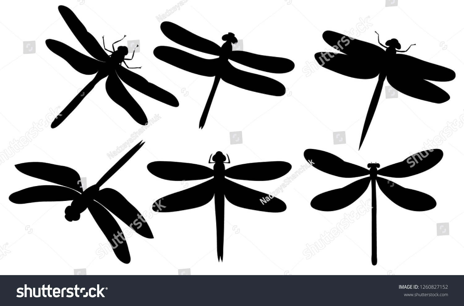 Isolated Dragonfly Flies Set Silhouettes Stock Vector (Royalty Free ...