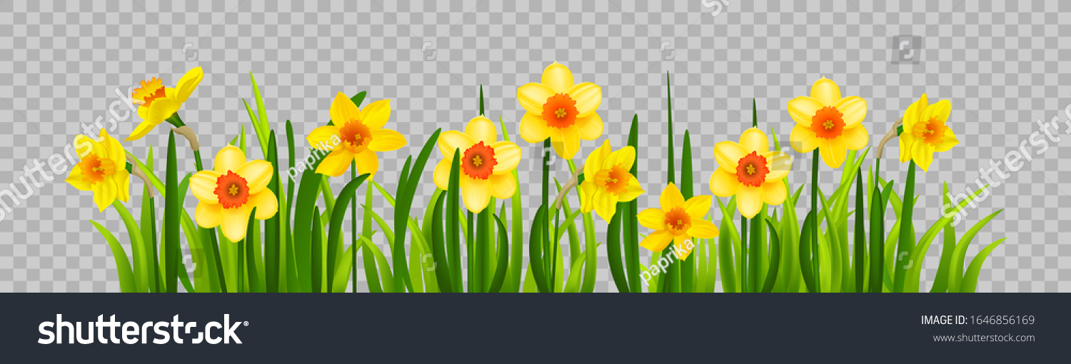 SVG of Isolated Easter blossom banner with daffodils svg