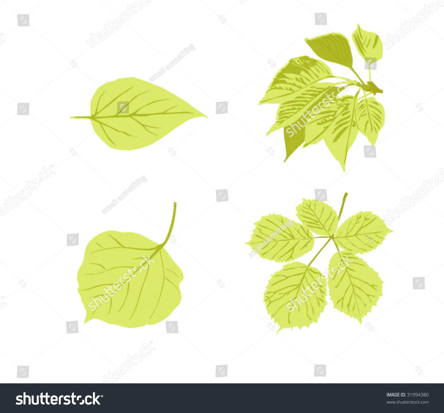 Isolated Leaves Stock Vector 31994380 - Shutterstock