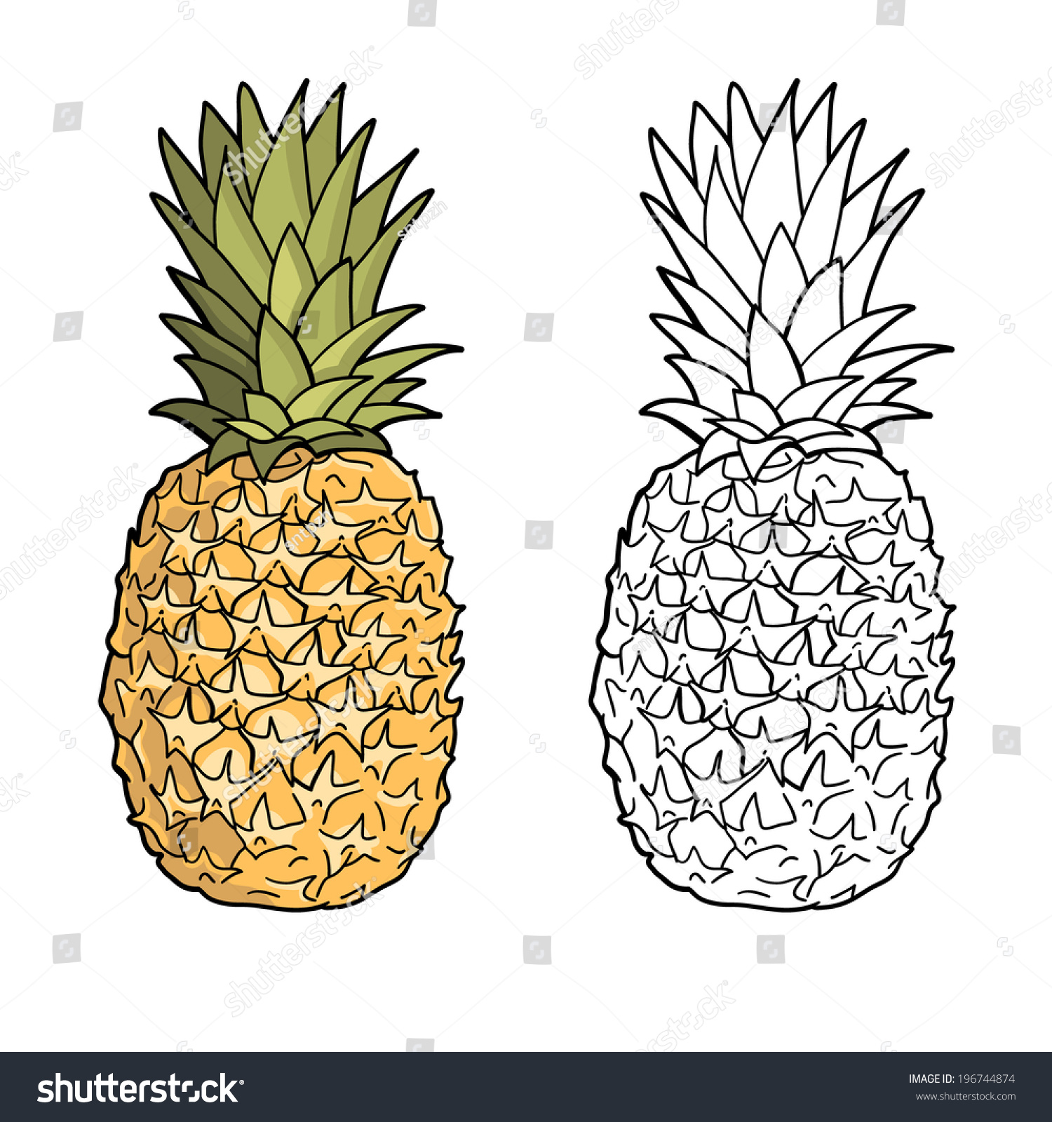 Isolated Pineapples Graphic Stylized Drawing Vector Stock Vector ...