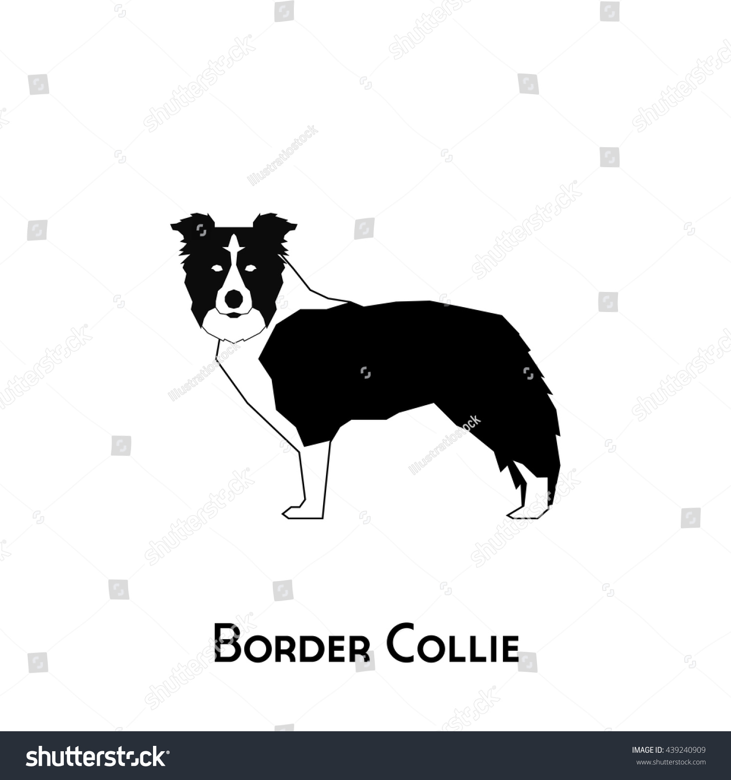 Download Isolated Silhouette Border Collie On White Stock Vector ...