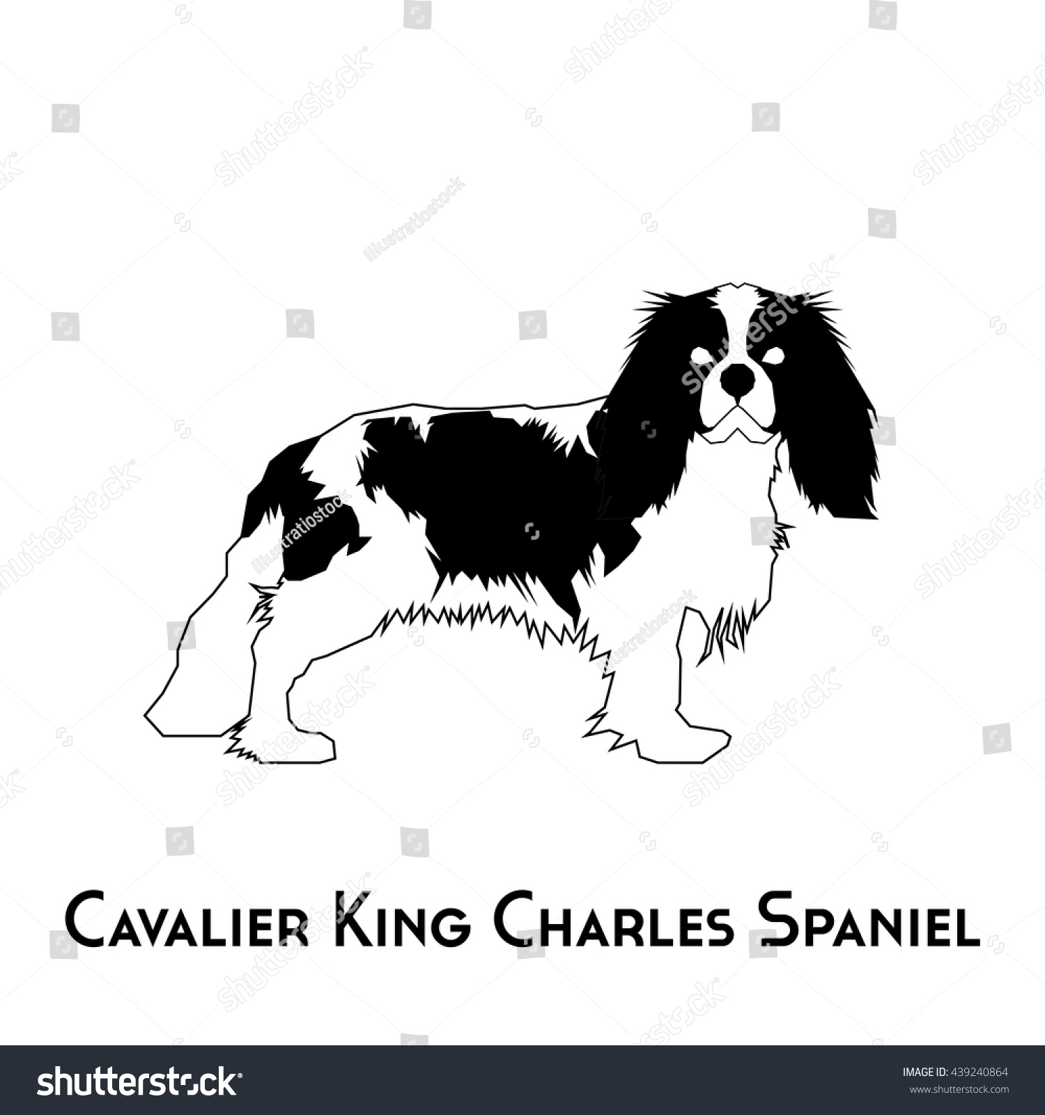 cavalier king charles spaniel clipart - photo #13
