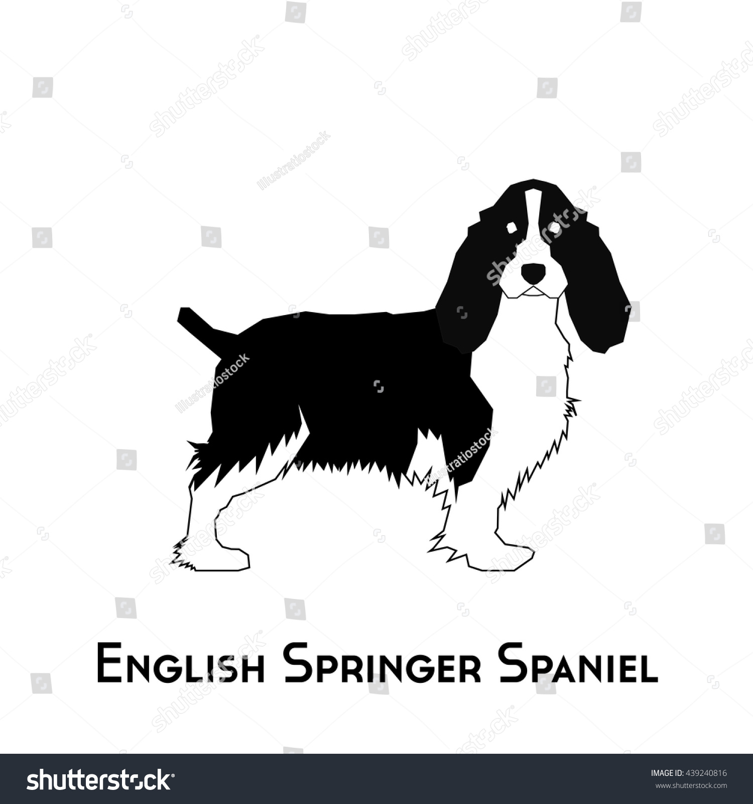 isolated silhouette of a english springer spaniel on a white background