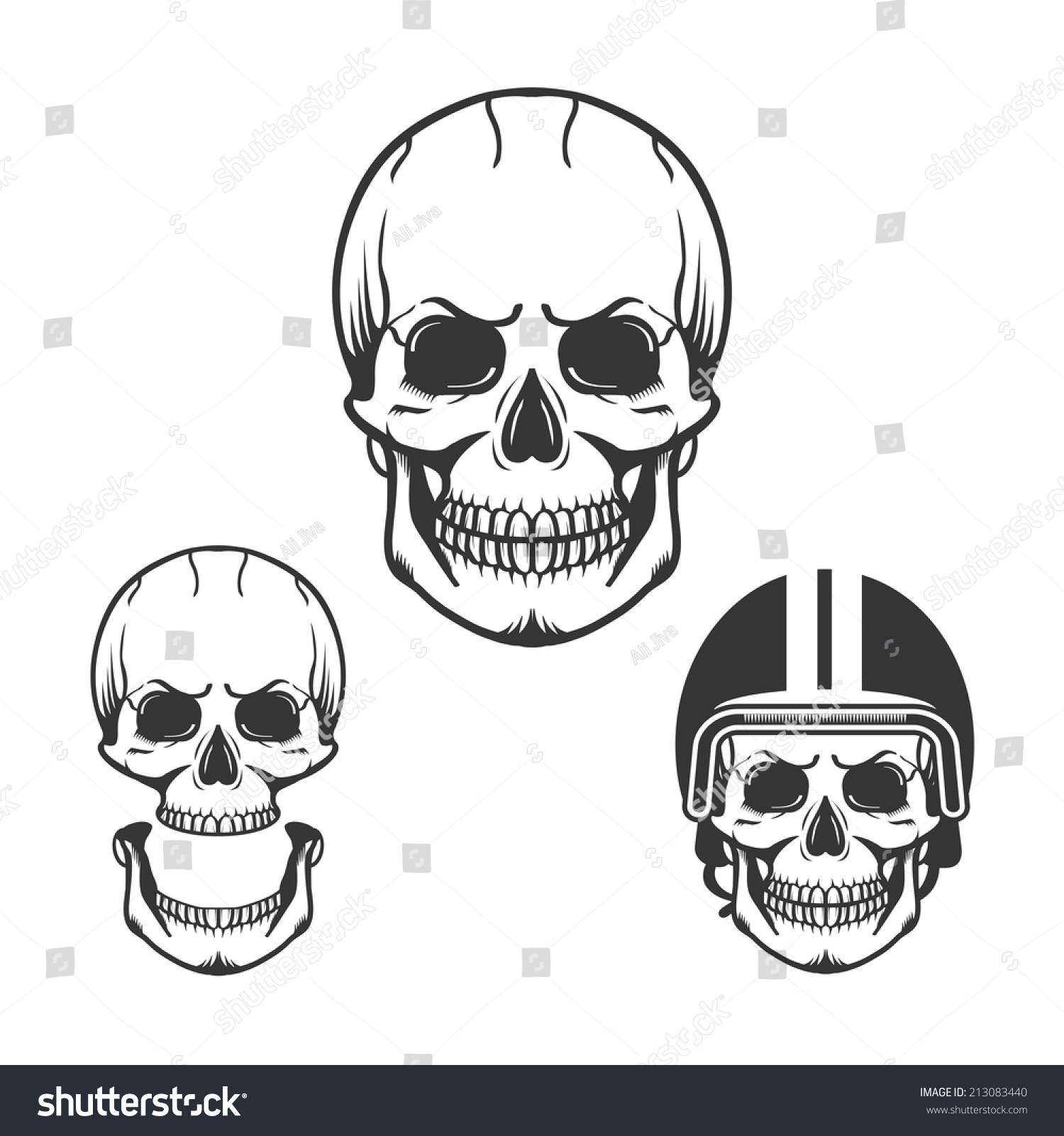 Isolated Skull Bone. Stock Vector Illustration 213083440 : Shutterstock