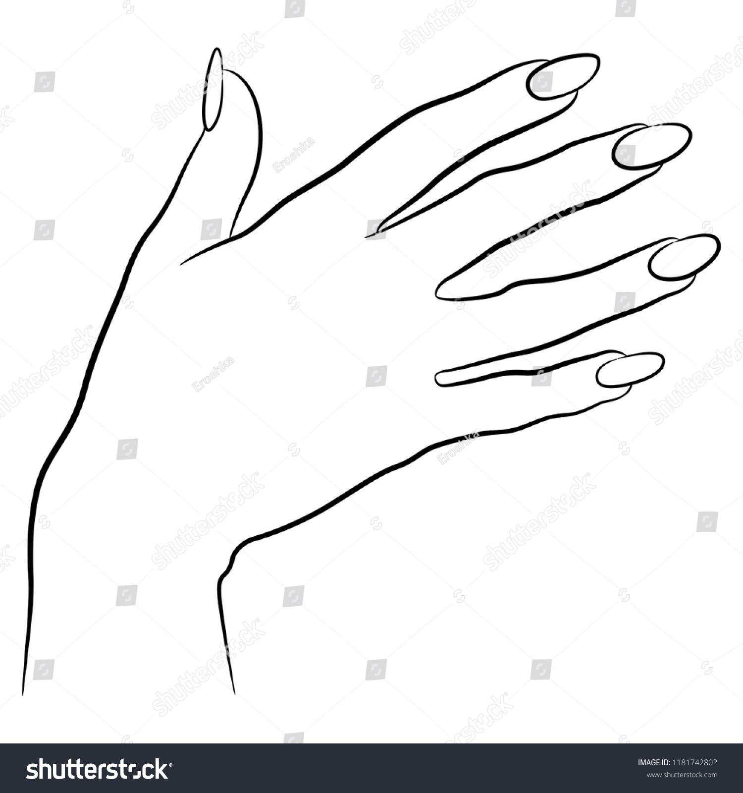 Isolated Vector Illustration Beautiful Female Hand Stock Vector Royalty Free