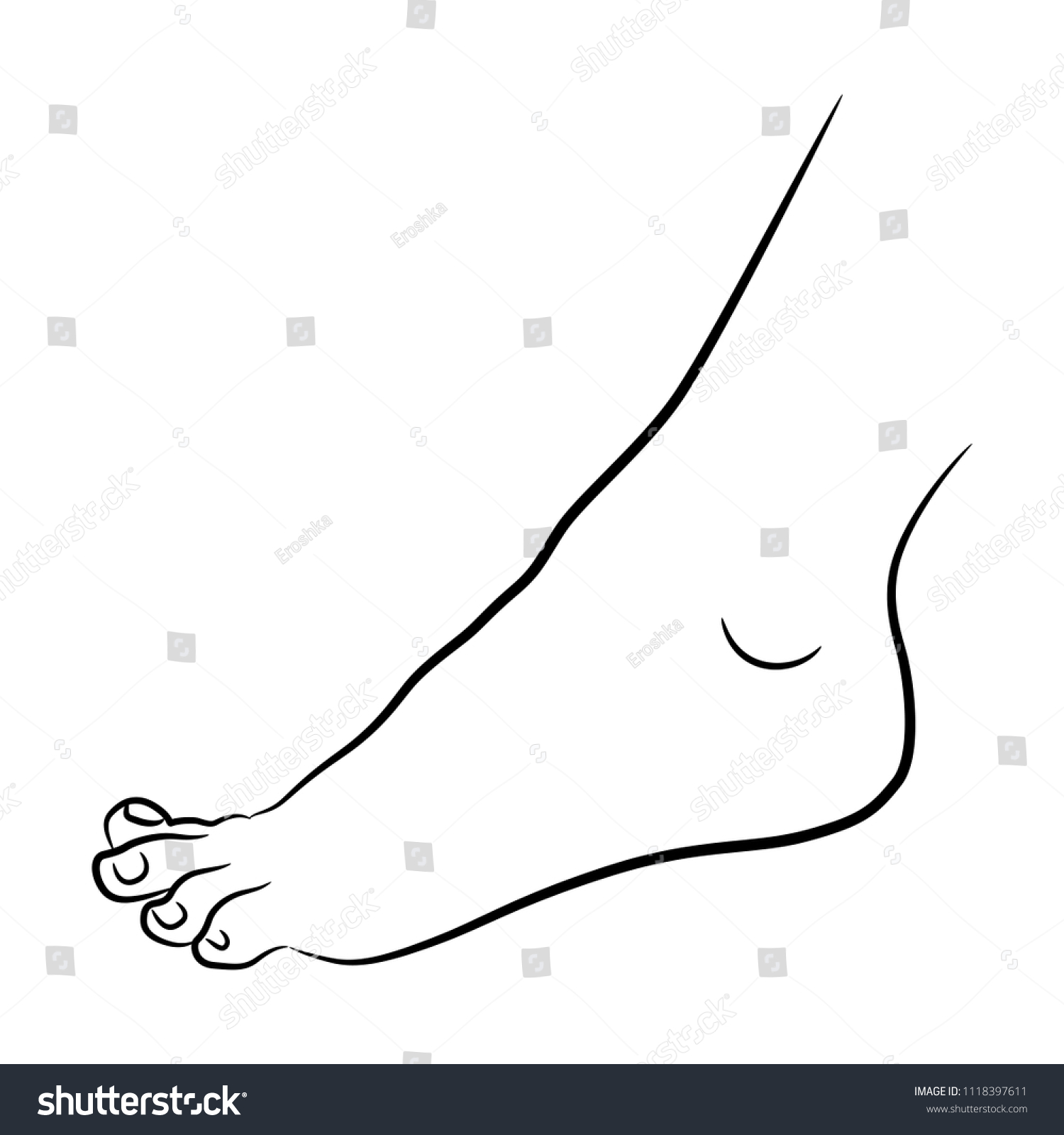 Isolated Vector Illustration Barefoot Female Foot Stock Vector (Royalty ...