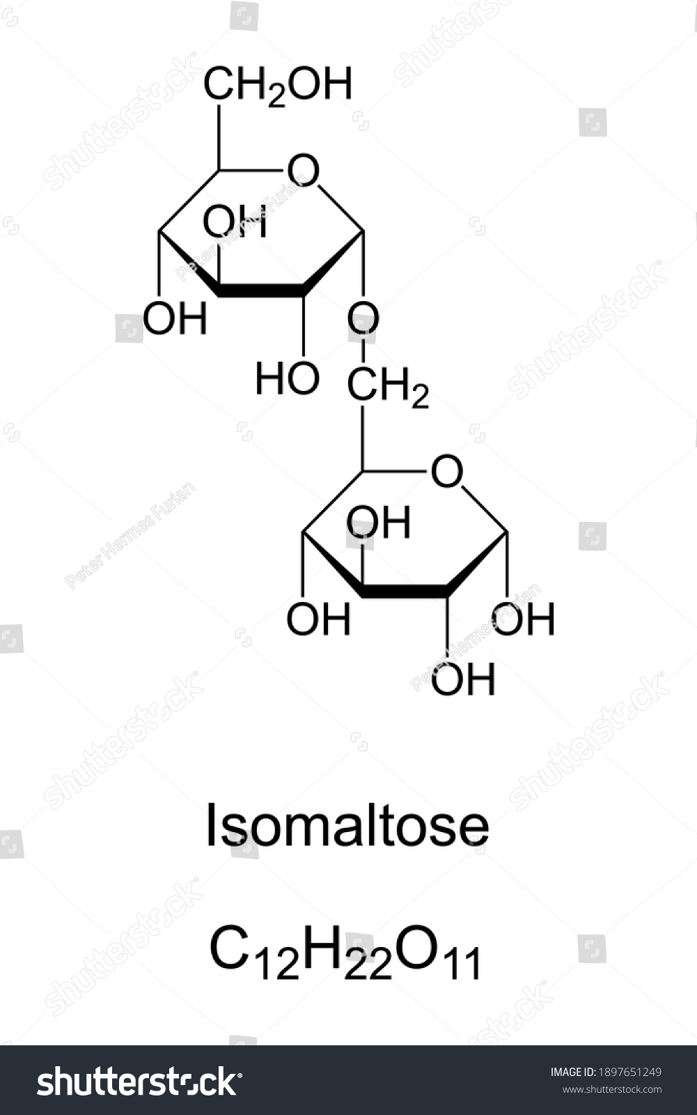 SVG of Isomaltose, chemical structure. Disaccharide, similar to maltose, a pyranose and reducing sugar. Product of caramelization of glucose. Skeletal and structural formula. Illustration over white. Vector. svg