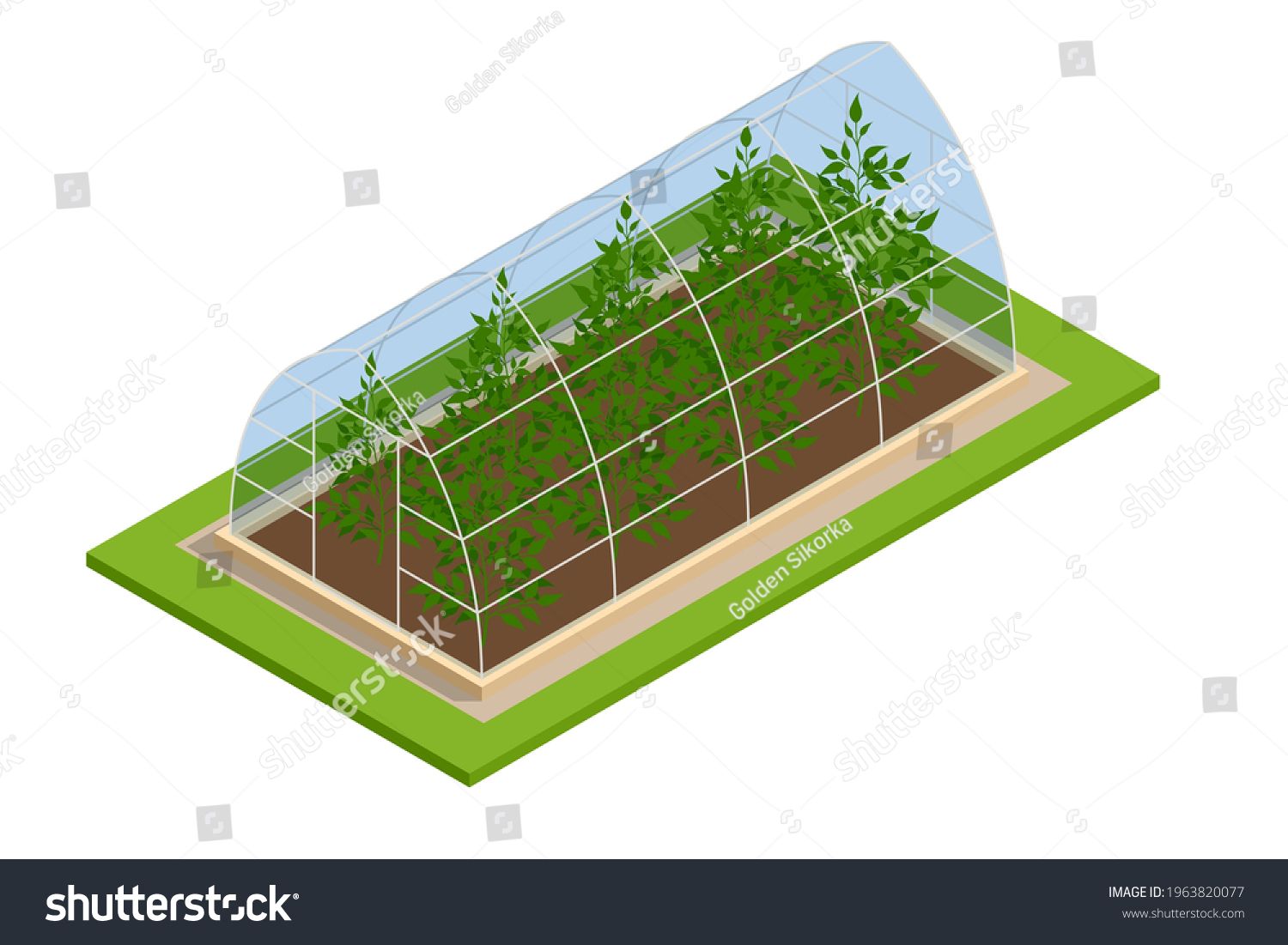 SVG of Isometric Greenhouse isolated on white. Growing seedlings in glasshouse. Plants crop in greenhouse svg