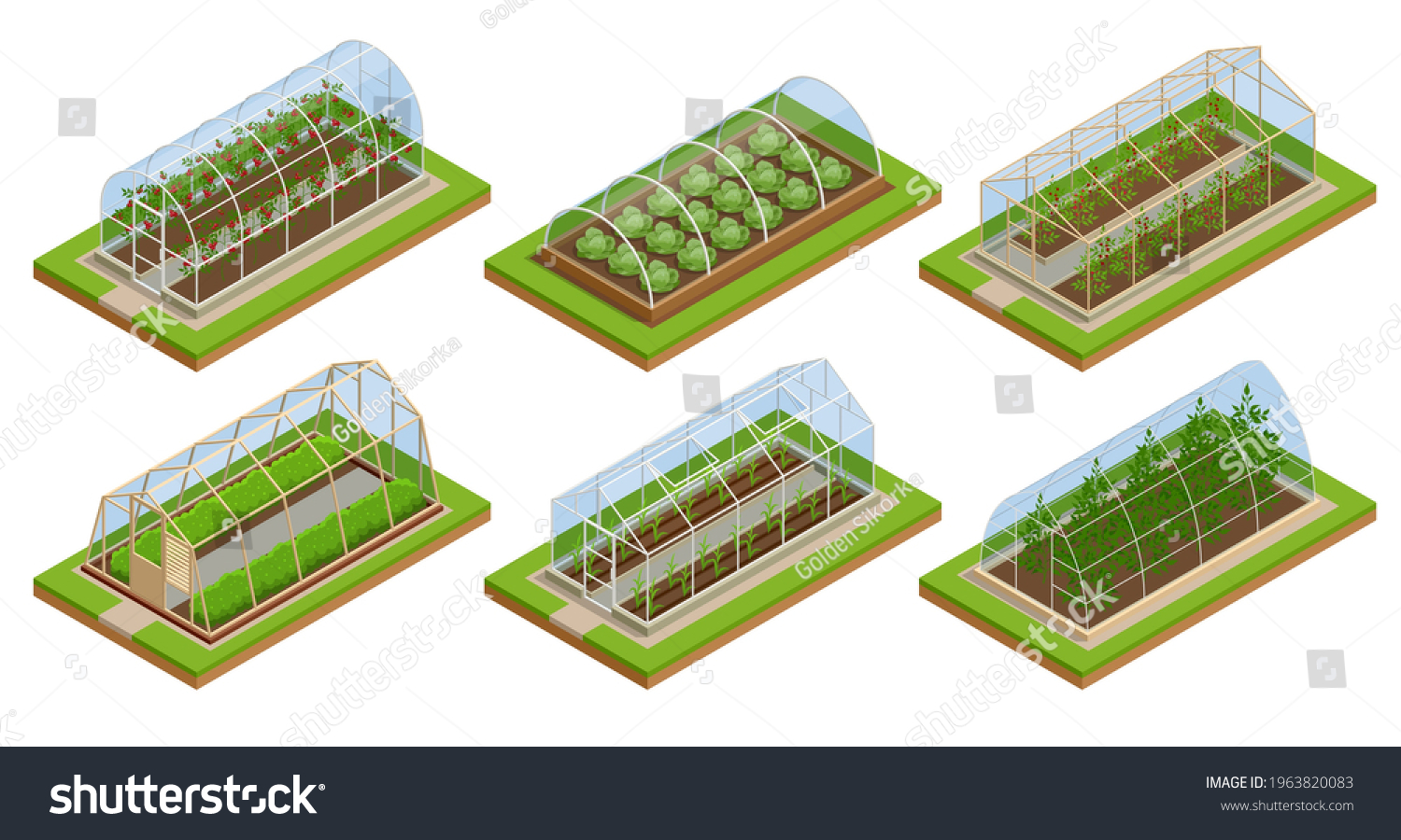 SVG of Isometric Greenhouse isolated on white. Growing seedlings in glasshouse. Plants crop in greenhouse svg