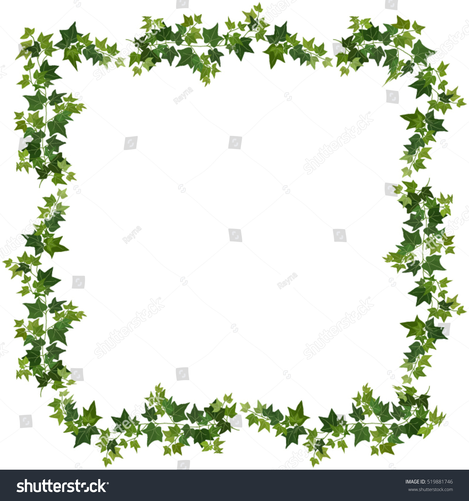 Ivy Vines Stock Vector (Royalty Free) 519881746 | Shutterstock