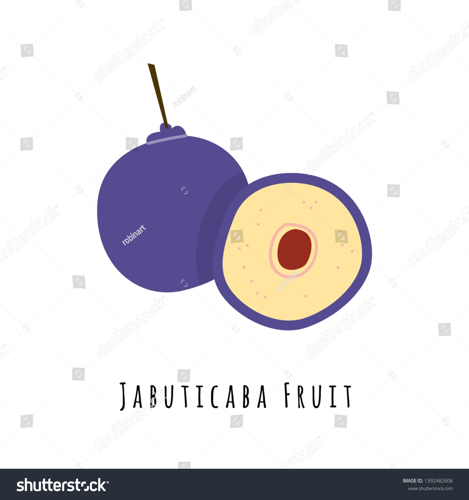 Jabuticaba Fruit Flat Vector Illustration Cartoon Stock Vector (Royalty ...