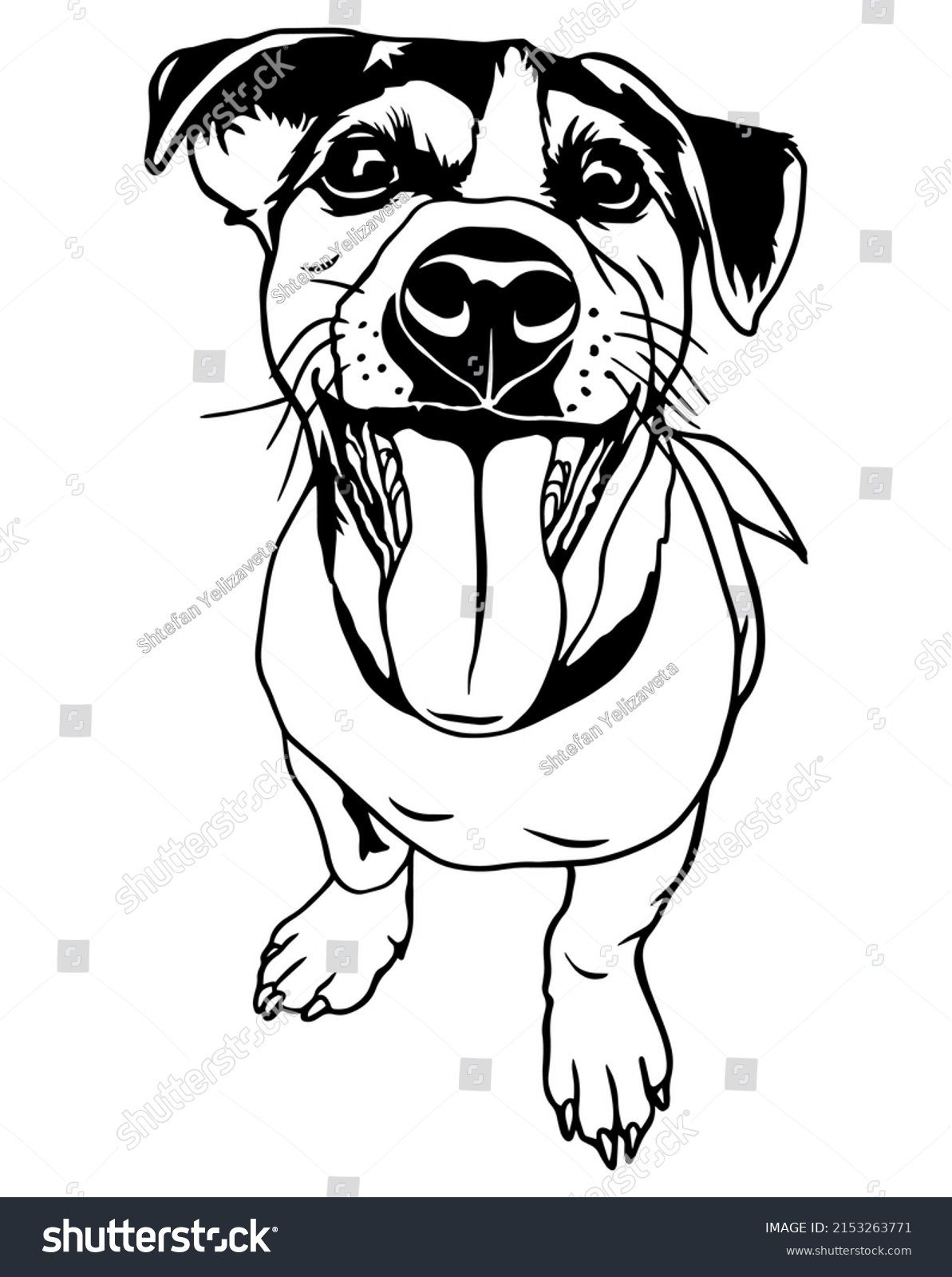 SVG of Jack Russell Terrier is a playful dog. Vector file for printing and sublimation and vinyl cutting. Love friendship dog clipart. Hand drawn funny animals. dog smile svg