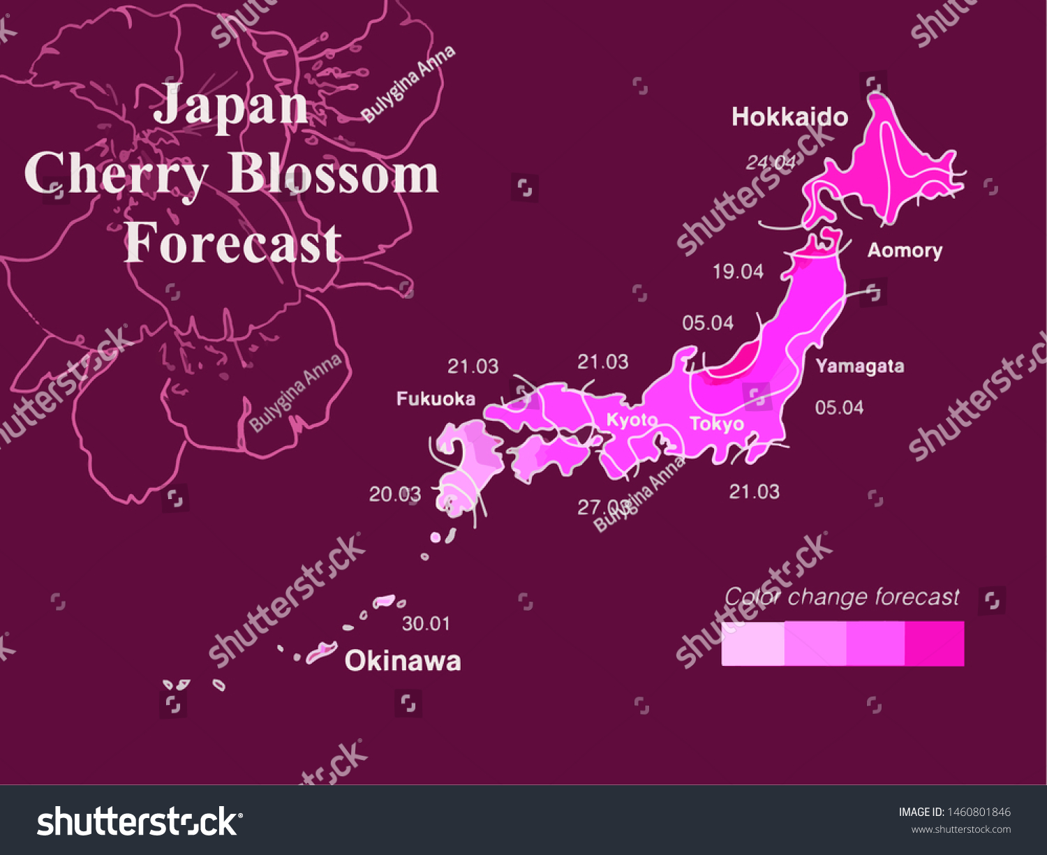 Japan Cherry Blossom Forecast Map Infographic Stock Vector (Royalty