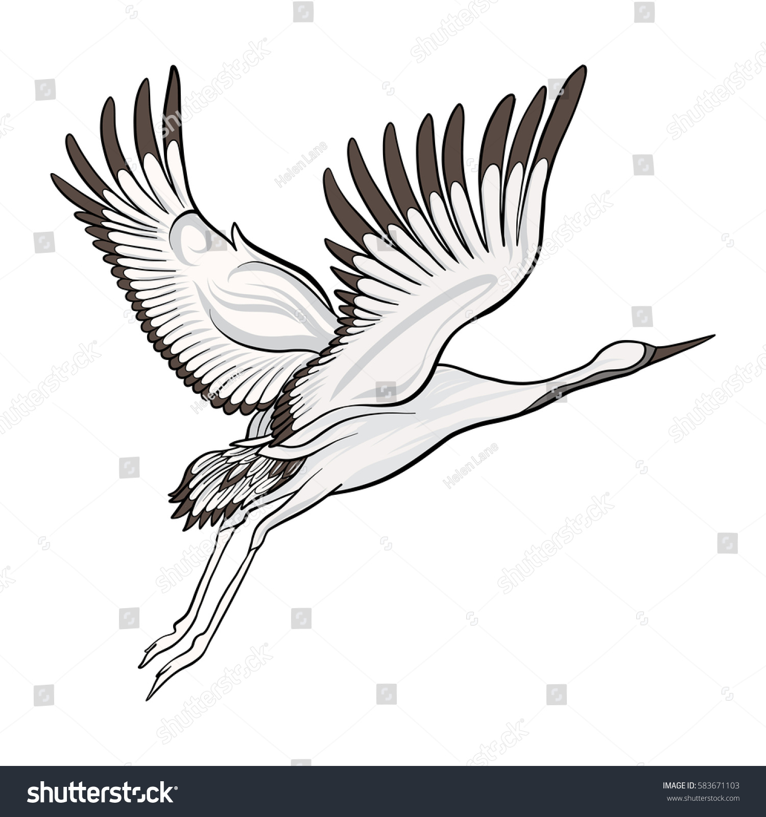 Japanese Crane Isolated Drawing Stock Line Stock Vector 583671103 ...
