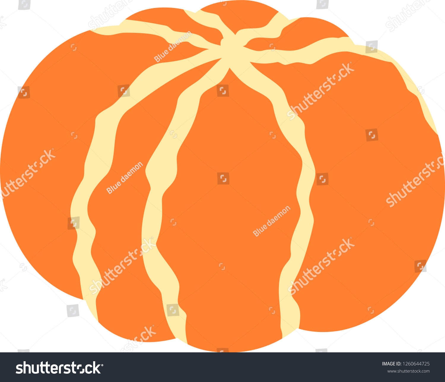 Japanese Mandarin Orange Stock Vector Royalty Free 1260644725 Shutterstock 4765