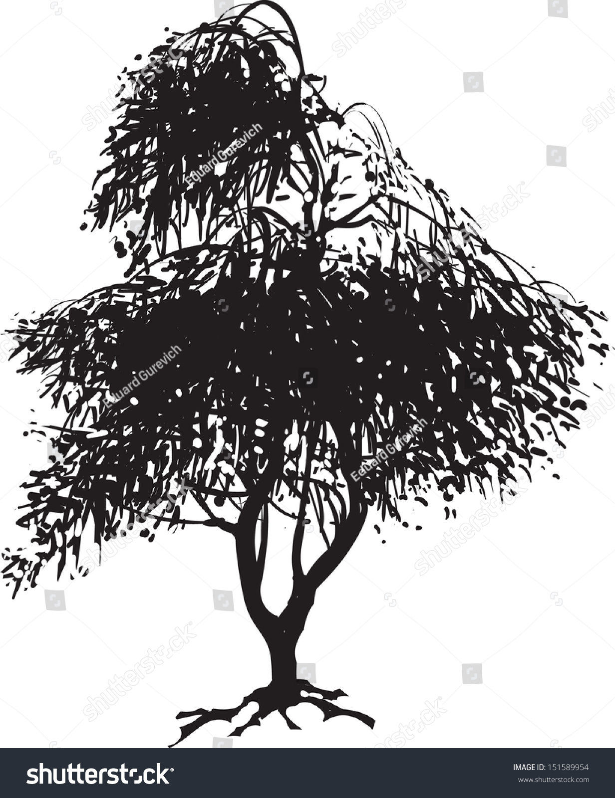Japanese Maple Tree Stock Vector 151589954 : Shutterstock