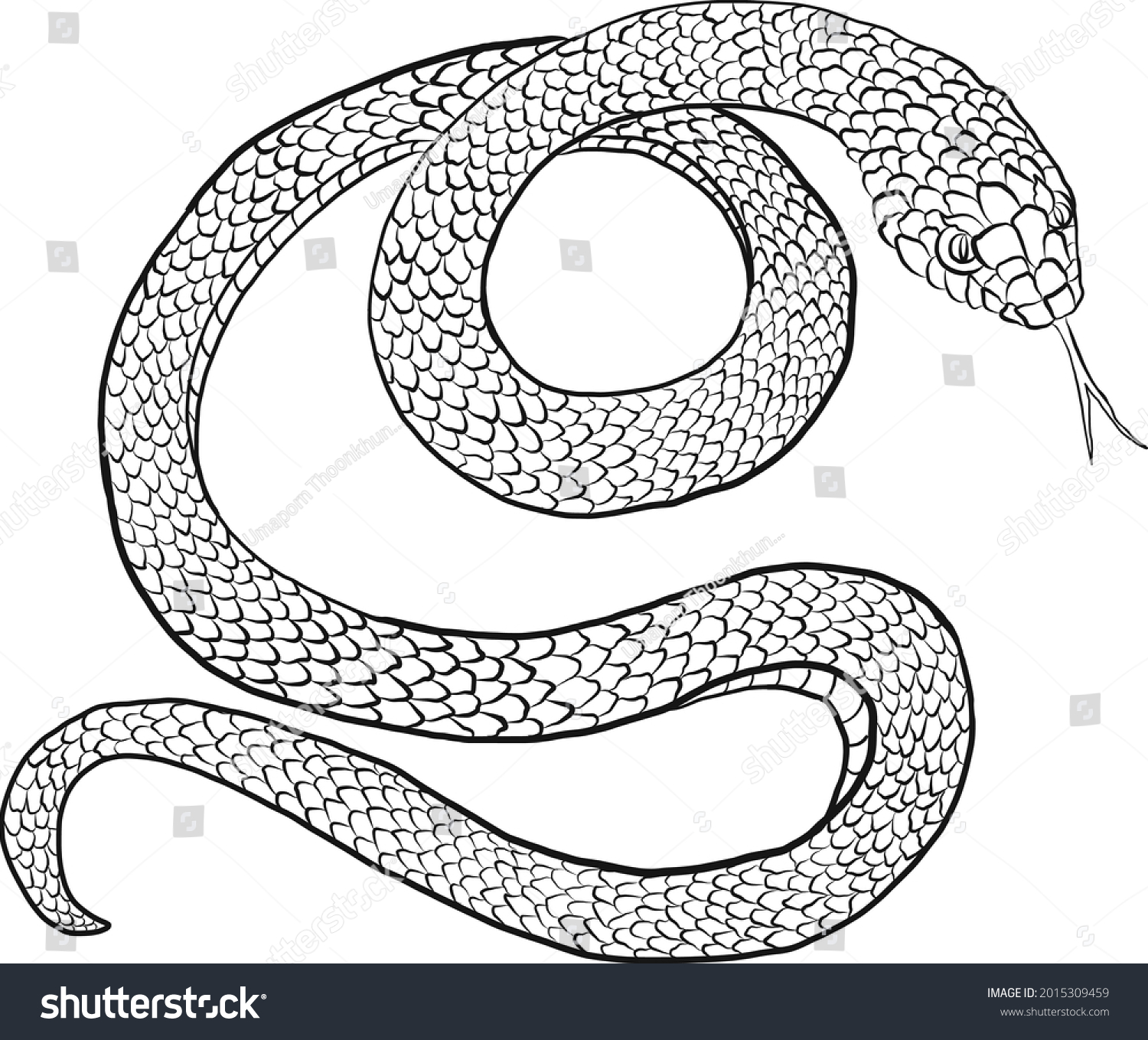 Japanese Snake Vector Tattoo Design Isolate Stock Vector (Royalty Free ...