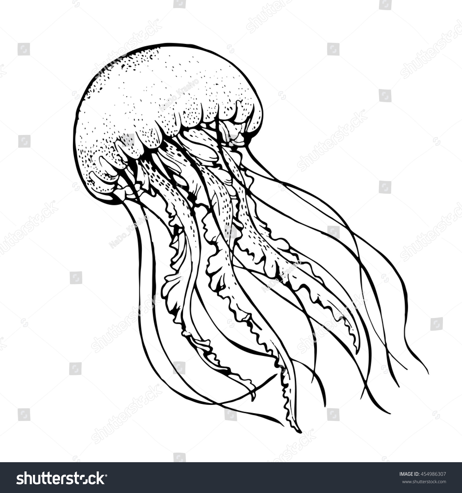 Jelly Fish Line Art Vector Illustration Stock Vector (Royalty Free ...