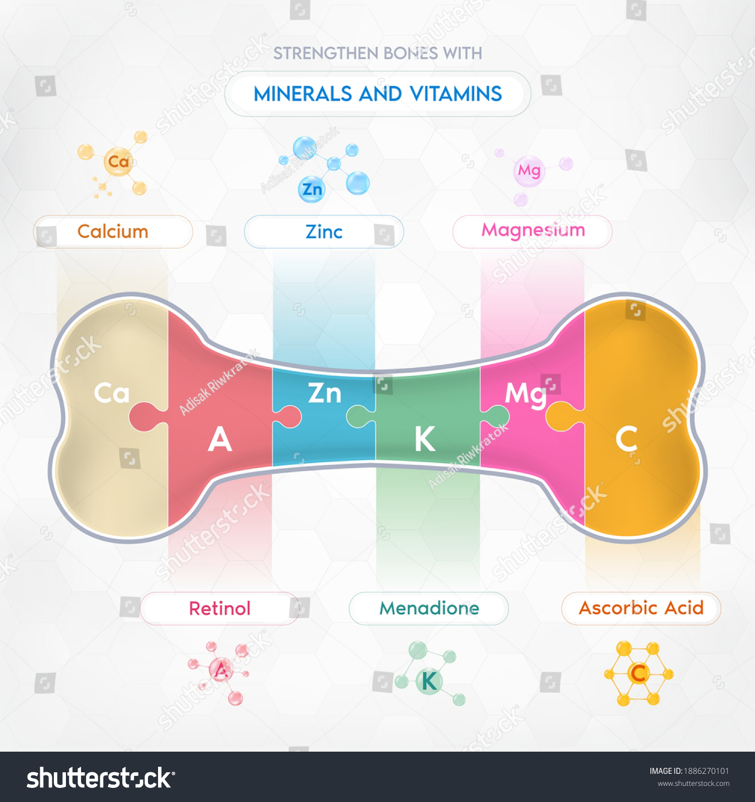 Jigsawshaped Bones Strengthens Bones Vitamins Minerals Stock Vector ...