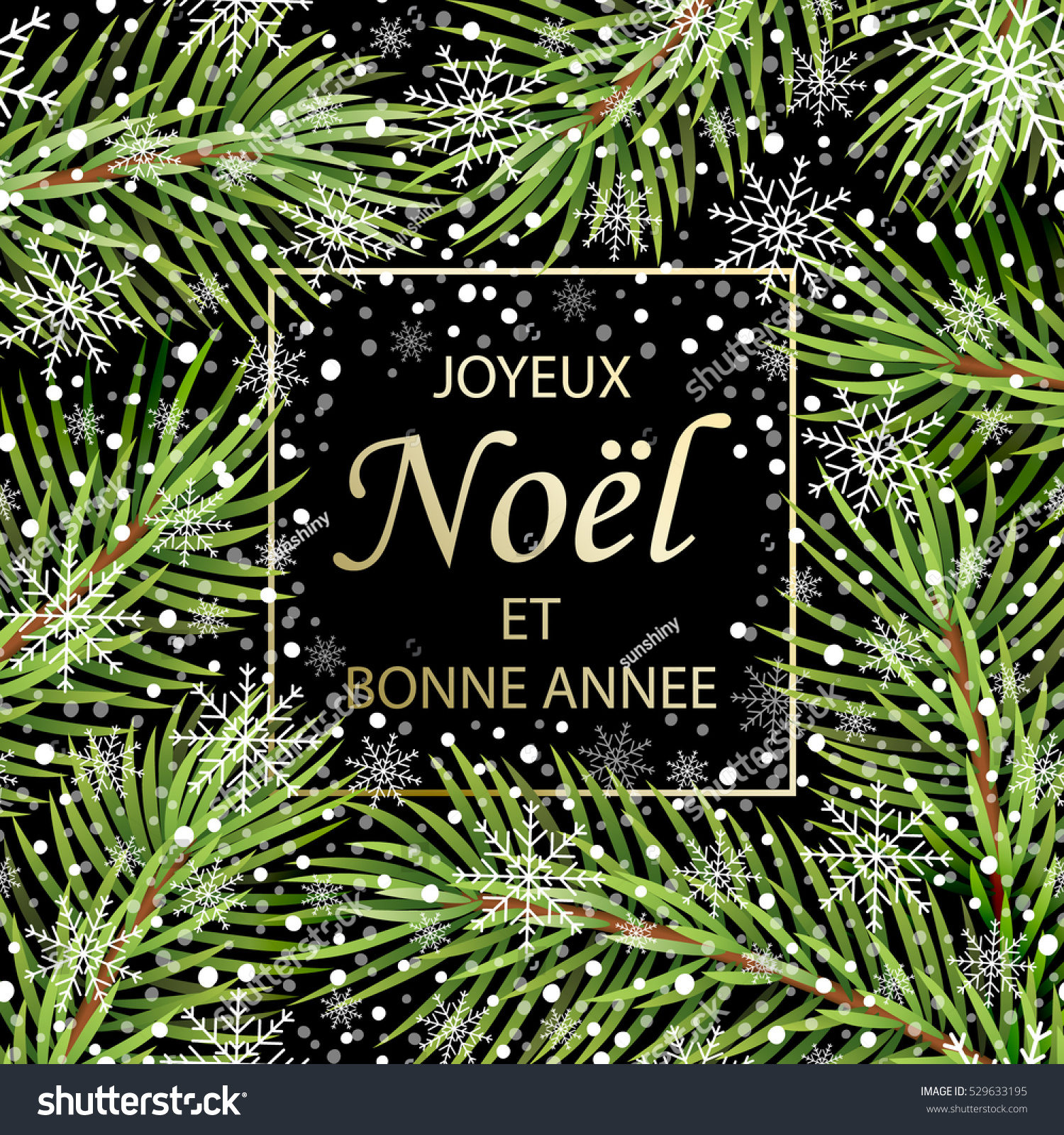 "Joyeux Noel et Bonne Annee greetings on french in frame ...