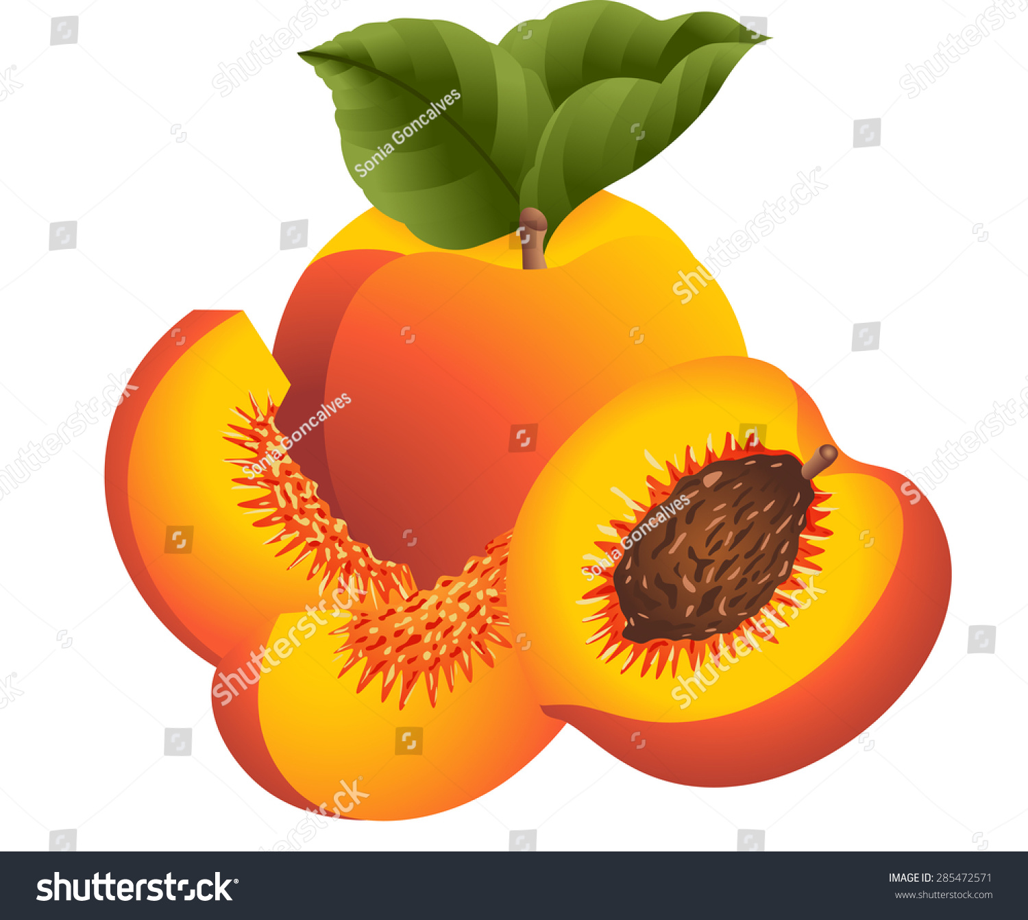 ripe peaches with leaves, sliced, orange, yellow clip art preview