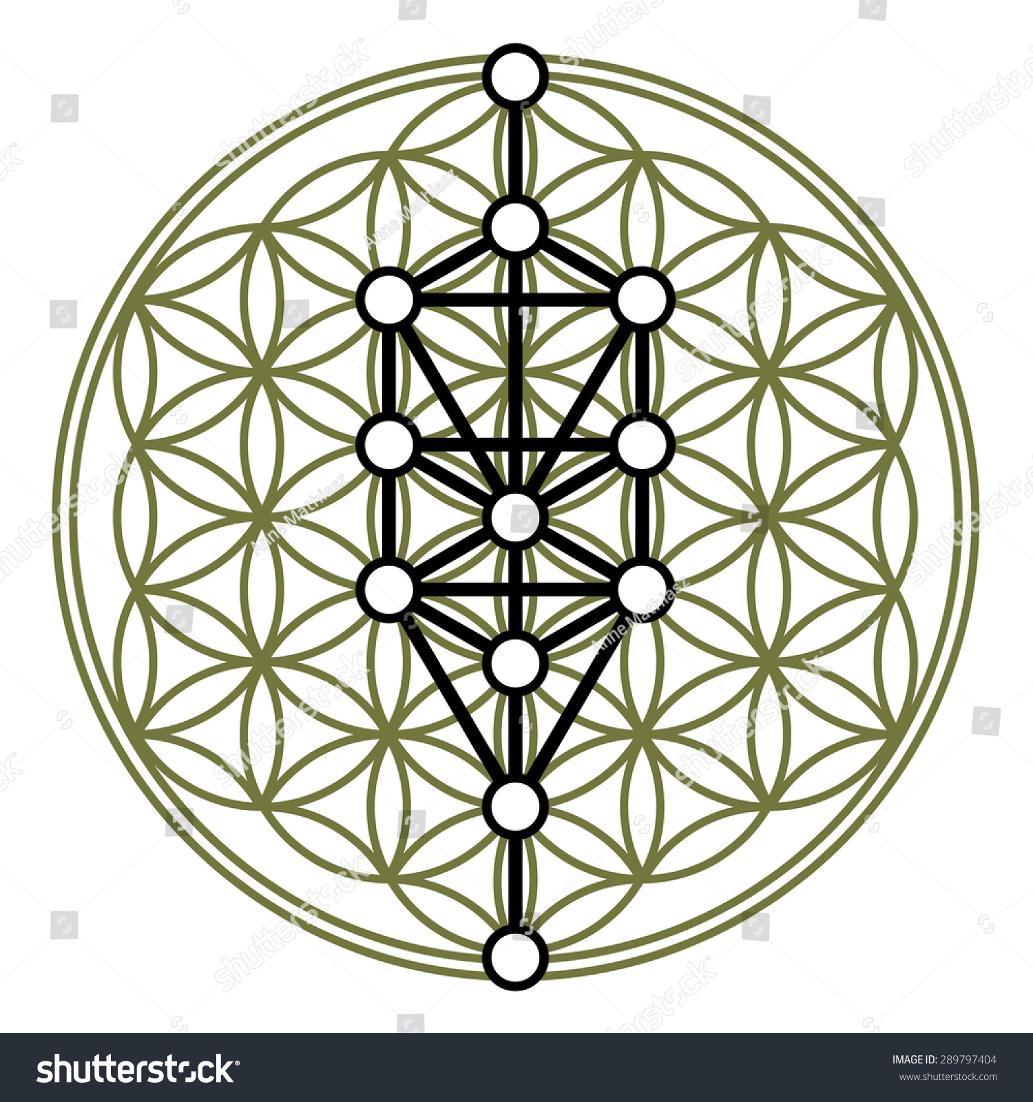 Kabbalah 12 Sephiroth Tree Life Flower Stock Vector 289797404 ...