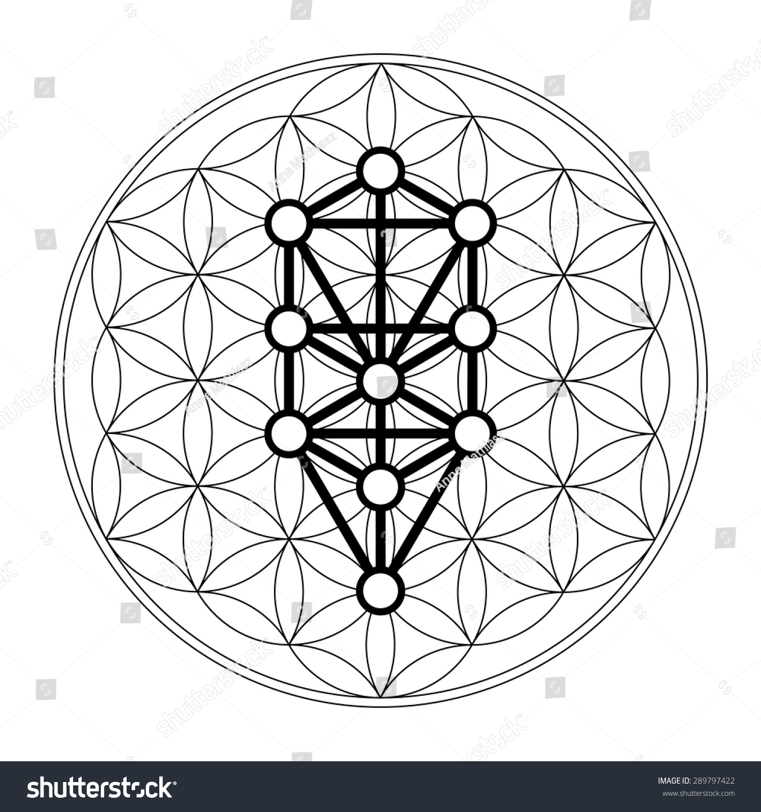 Kabbalah, 12 Sephiroth, Tree Of Life, Flower Of Life Stock Vector ...