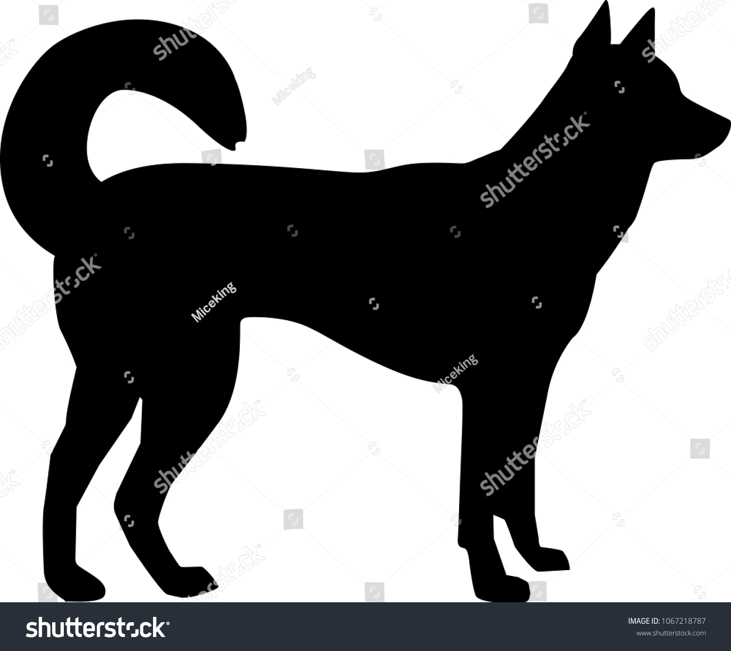 Kai Ken Silhouette Real Black Stock Vector (Royalty Free) 1067218787